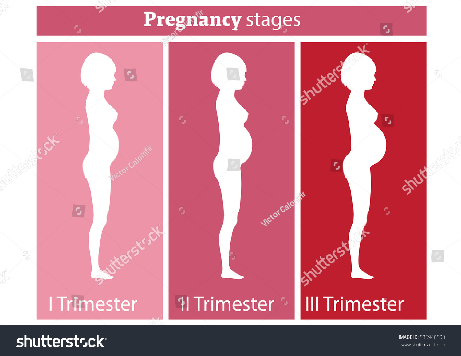 primer mes de embarazo