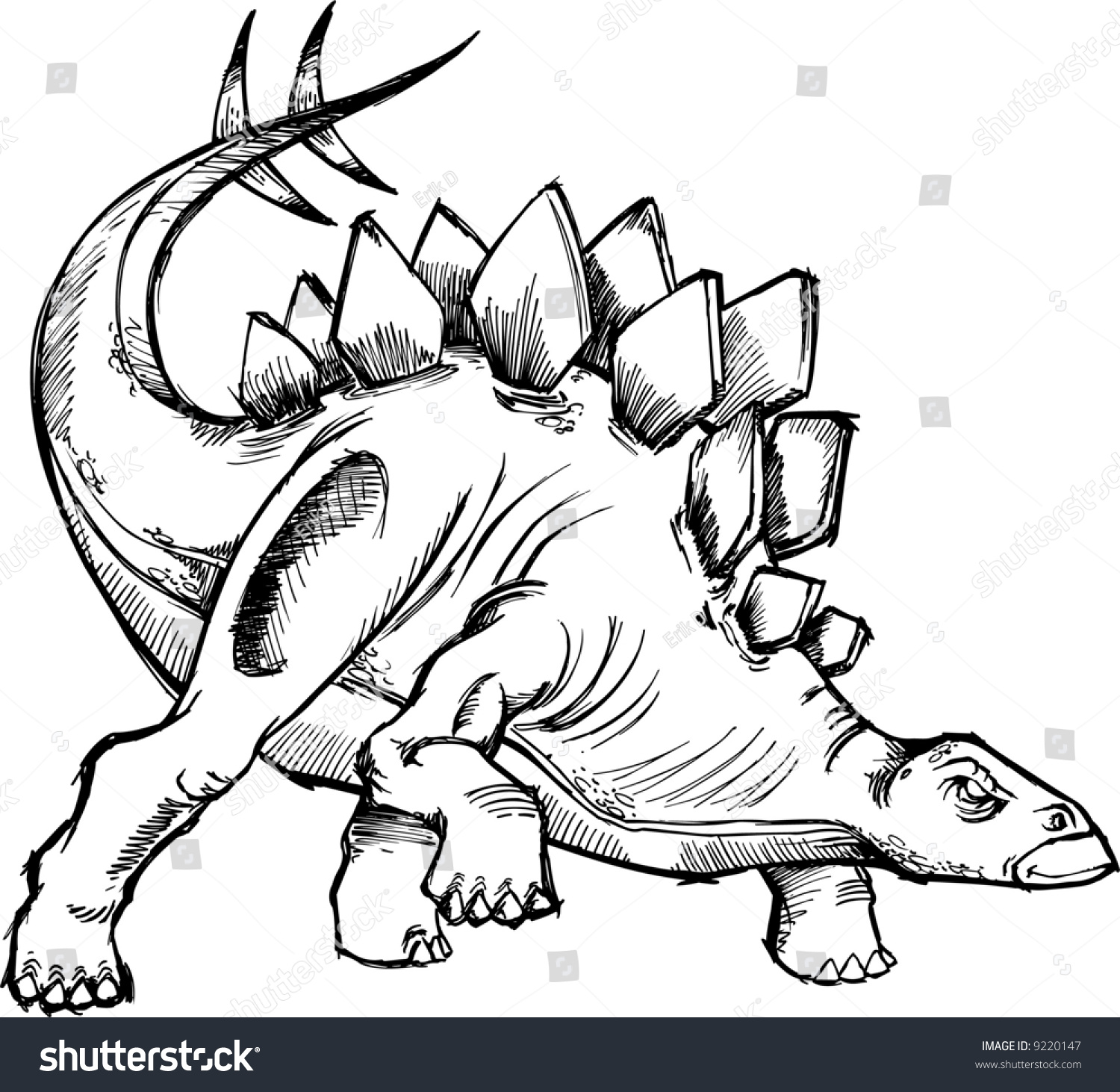 Stegosaurus Dinosaur Sketch Vector Illustration Stock Vector 9220147