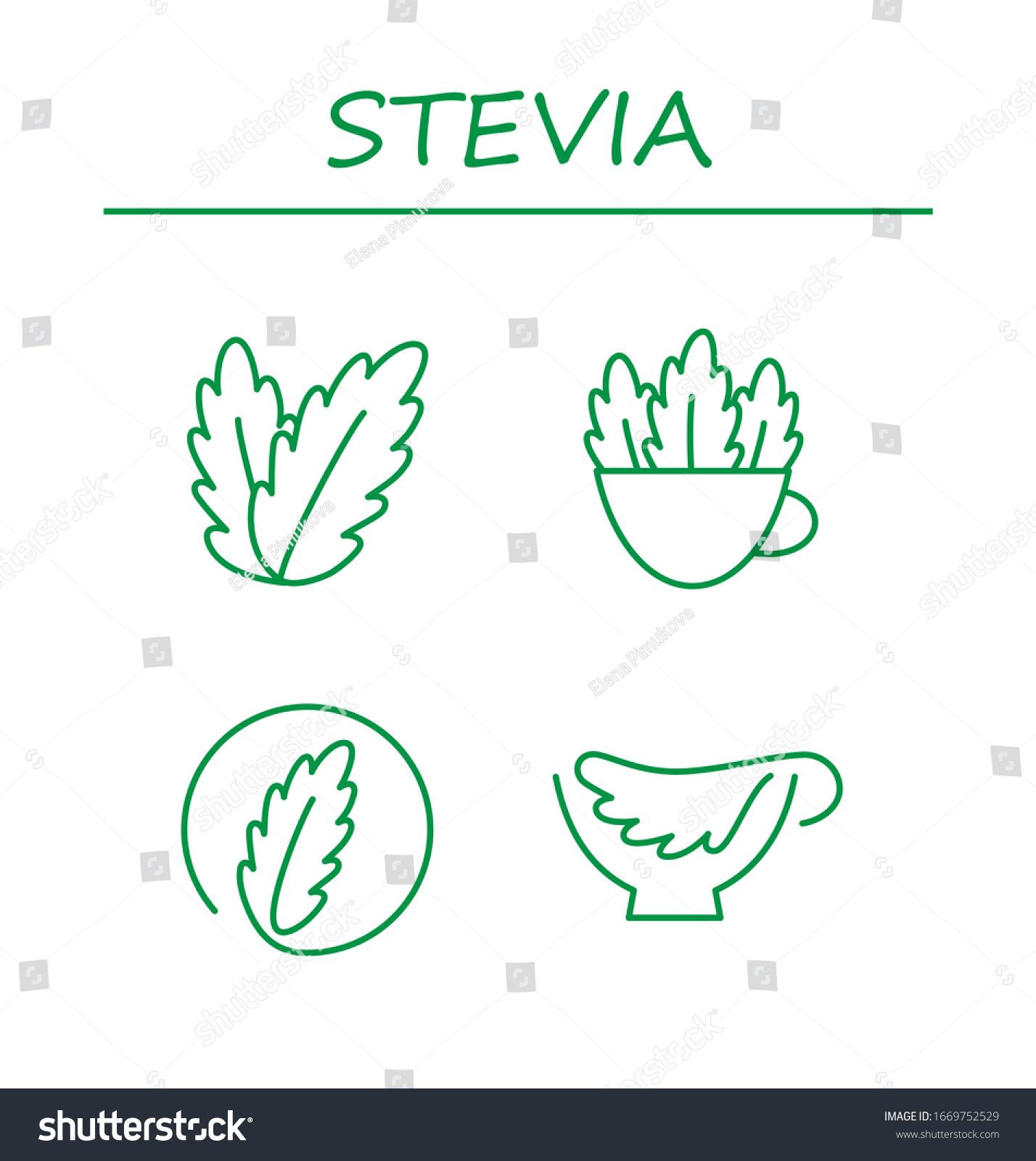 Stevia Leaves Icons Natural Stevia Sweetener Stock Vector Royalty Free