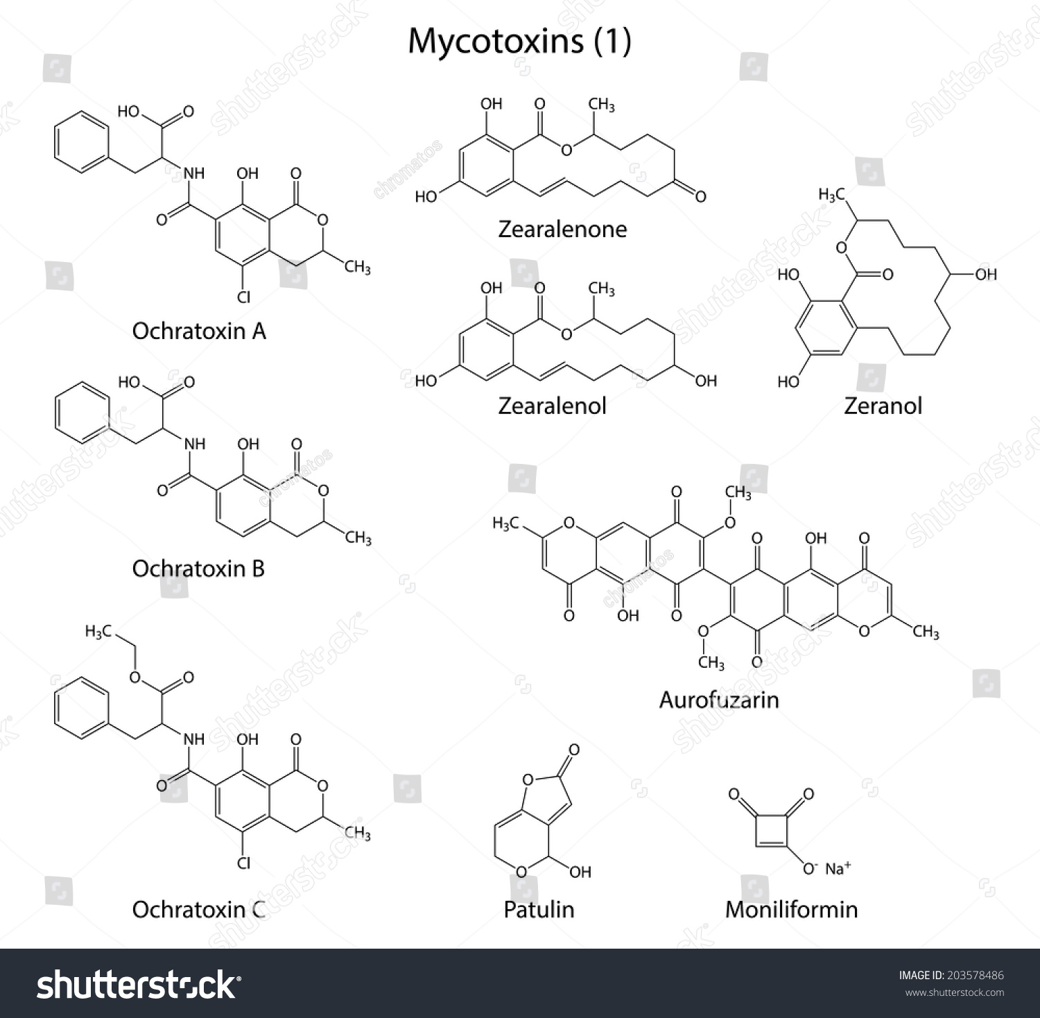 Structural Chemical Formulas Of Mycotoxins: Ochratoxins, Zearalenone ...