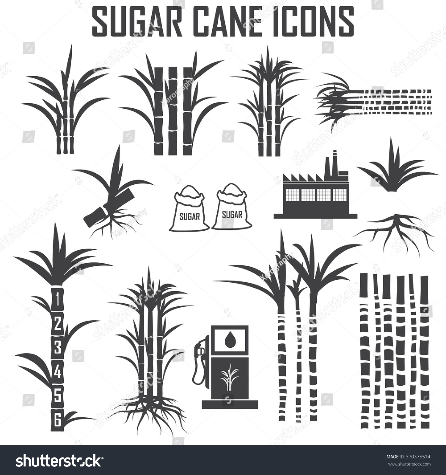 Sugar Cane Icons Vector. - 370375514 : Shutterstock