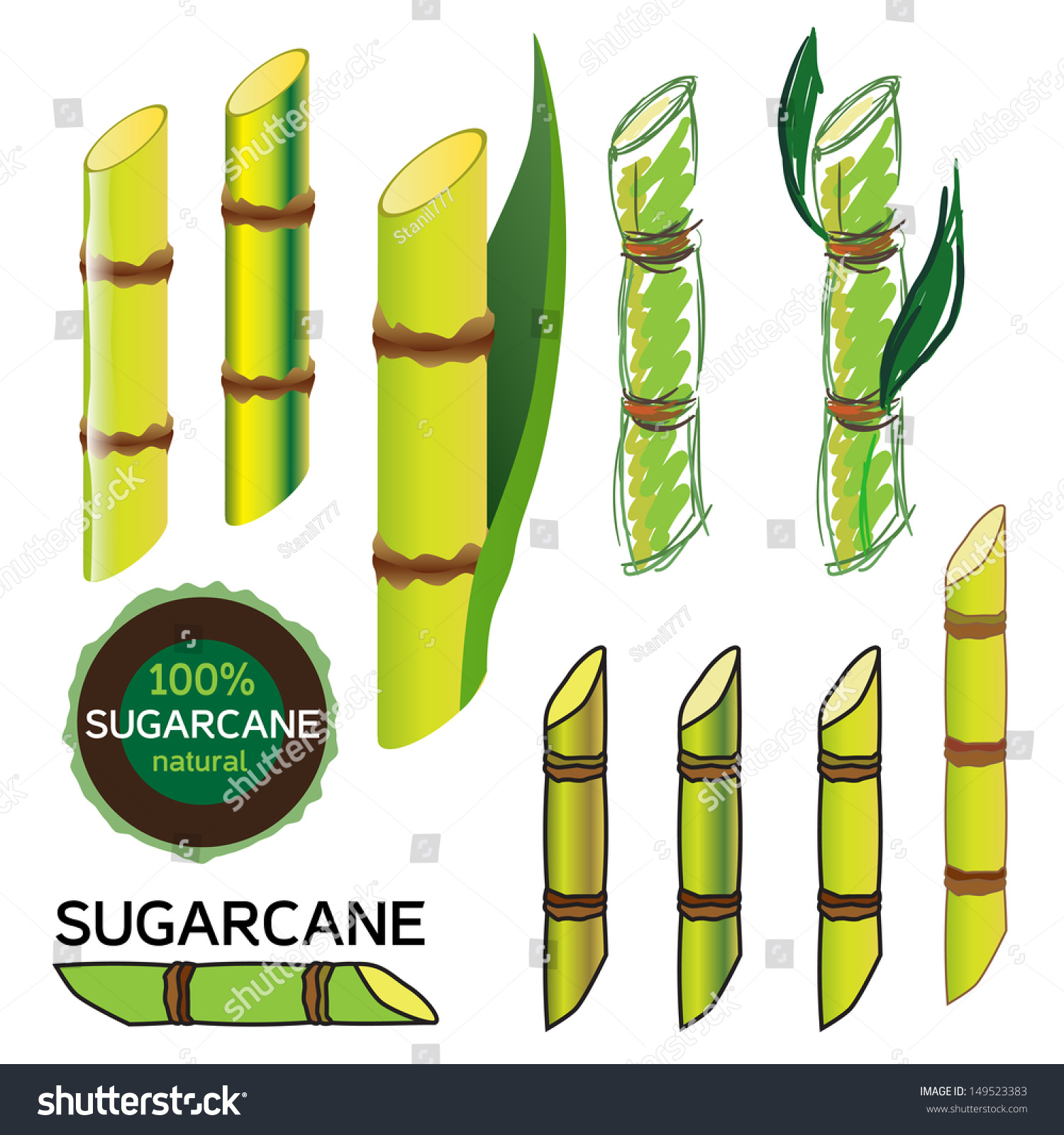 Sugarcane Set In Vector 149523383 Shutterstock 