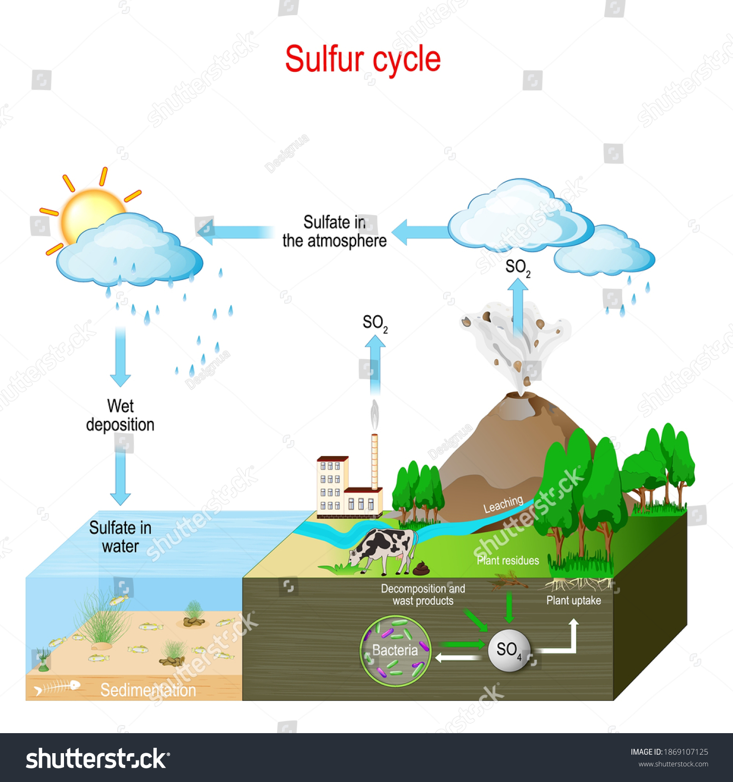 Ciclo del azufre imágenes fotos de stock y vectores Shutterstock