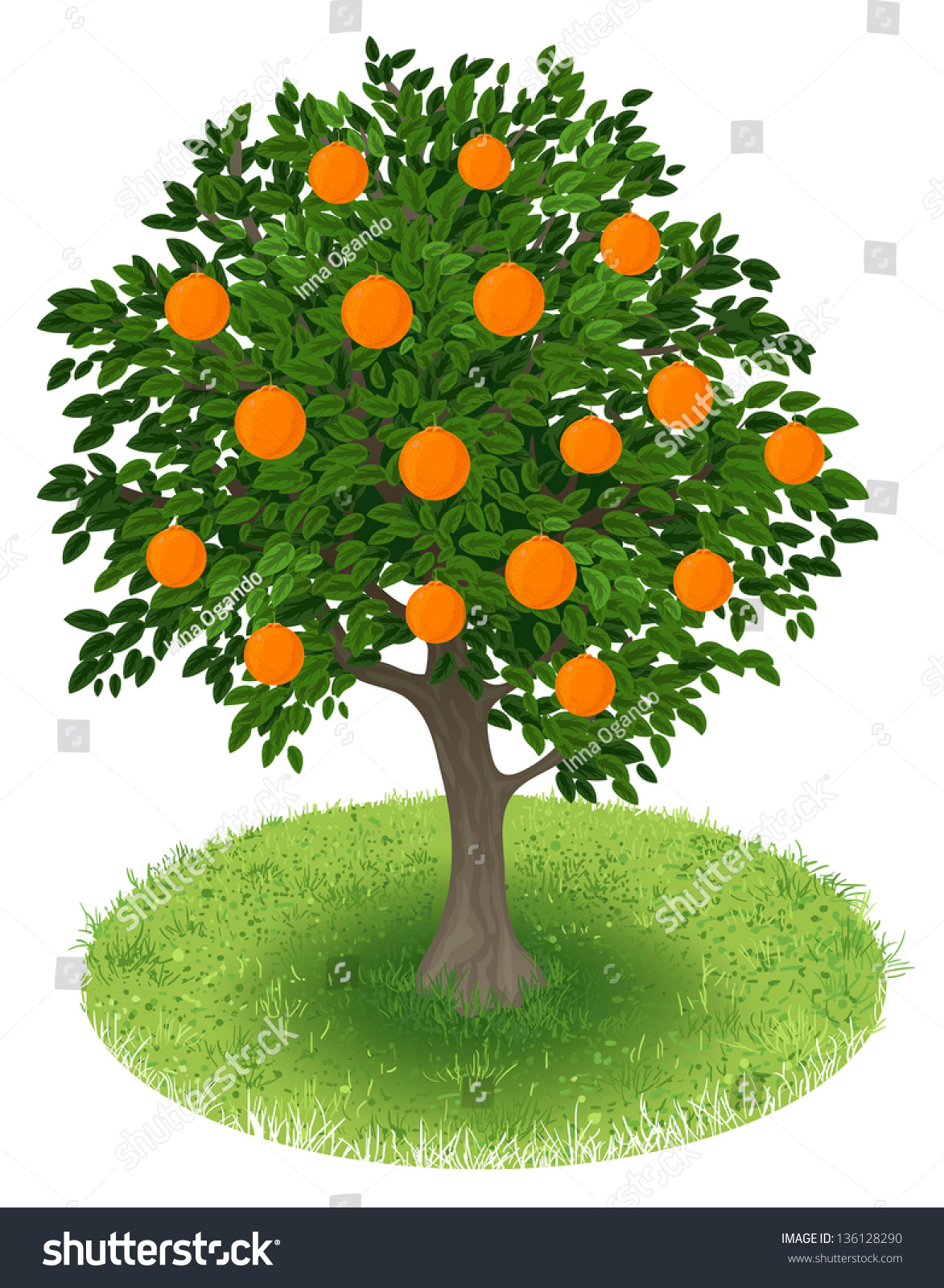 free fruit tree clipart - photo #43