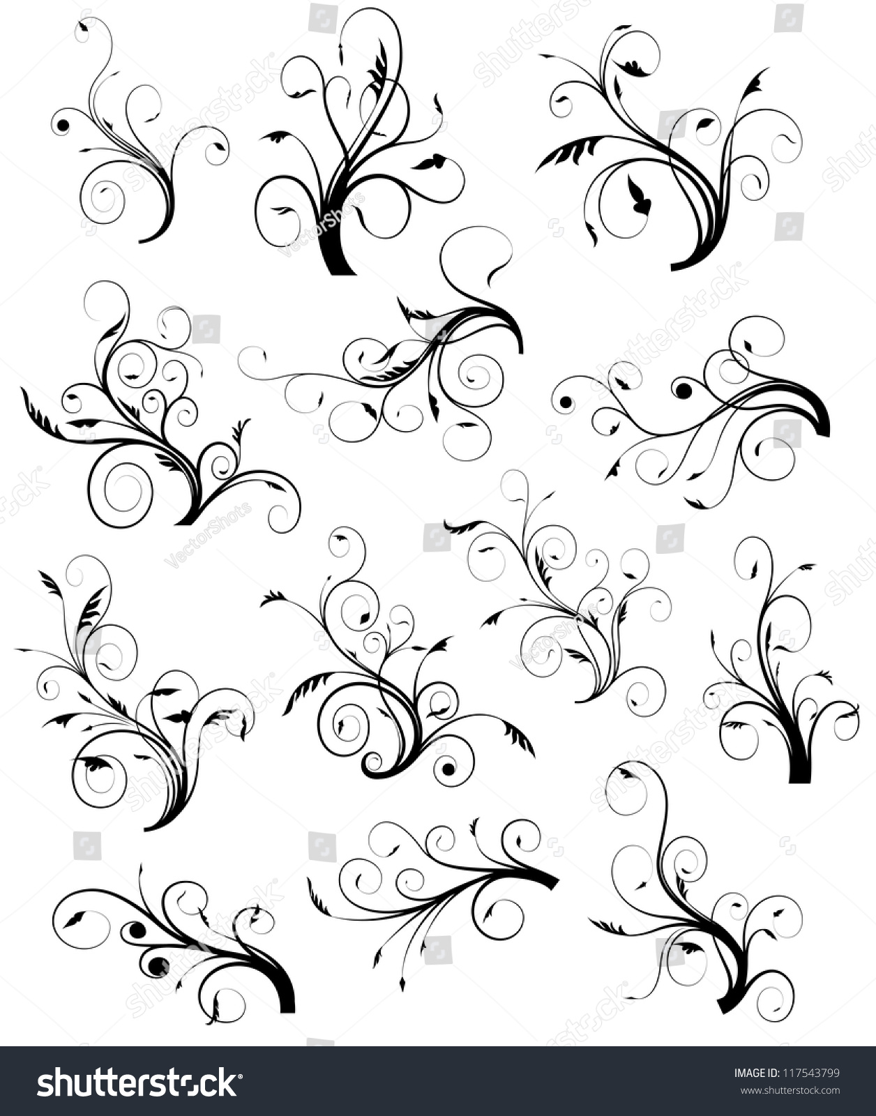 Swirl Floral Collection Swirl Floral Collection