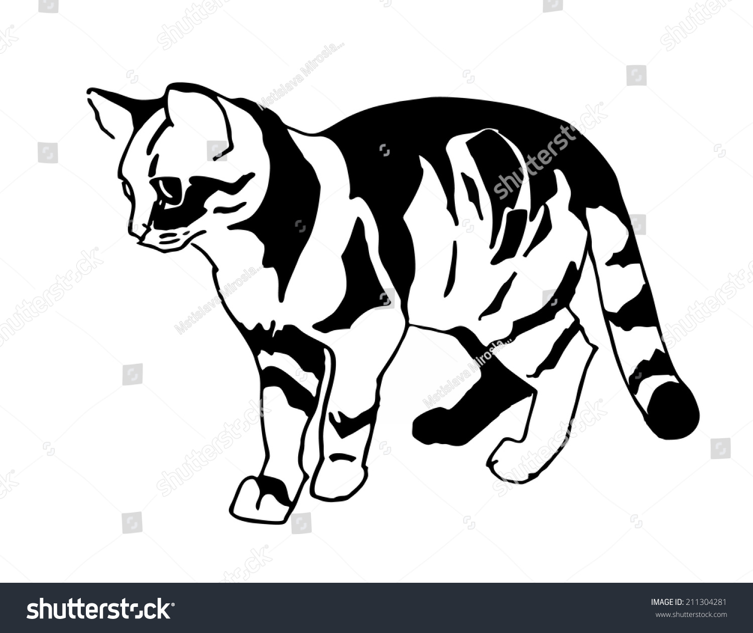 Tabby Cat Stock Vector Illustration 211304281 : Shutterstock