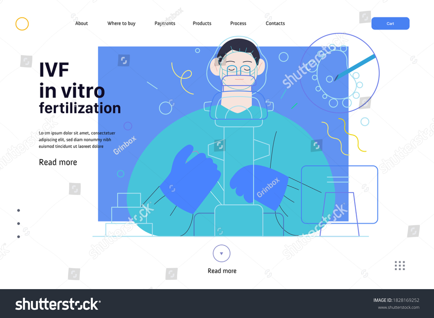 Test Tube Baby Vitro Fertilization Ivf Stock Vector Royalty Free