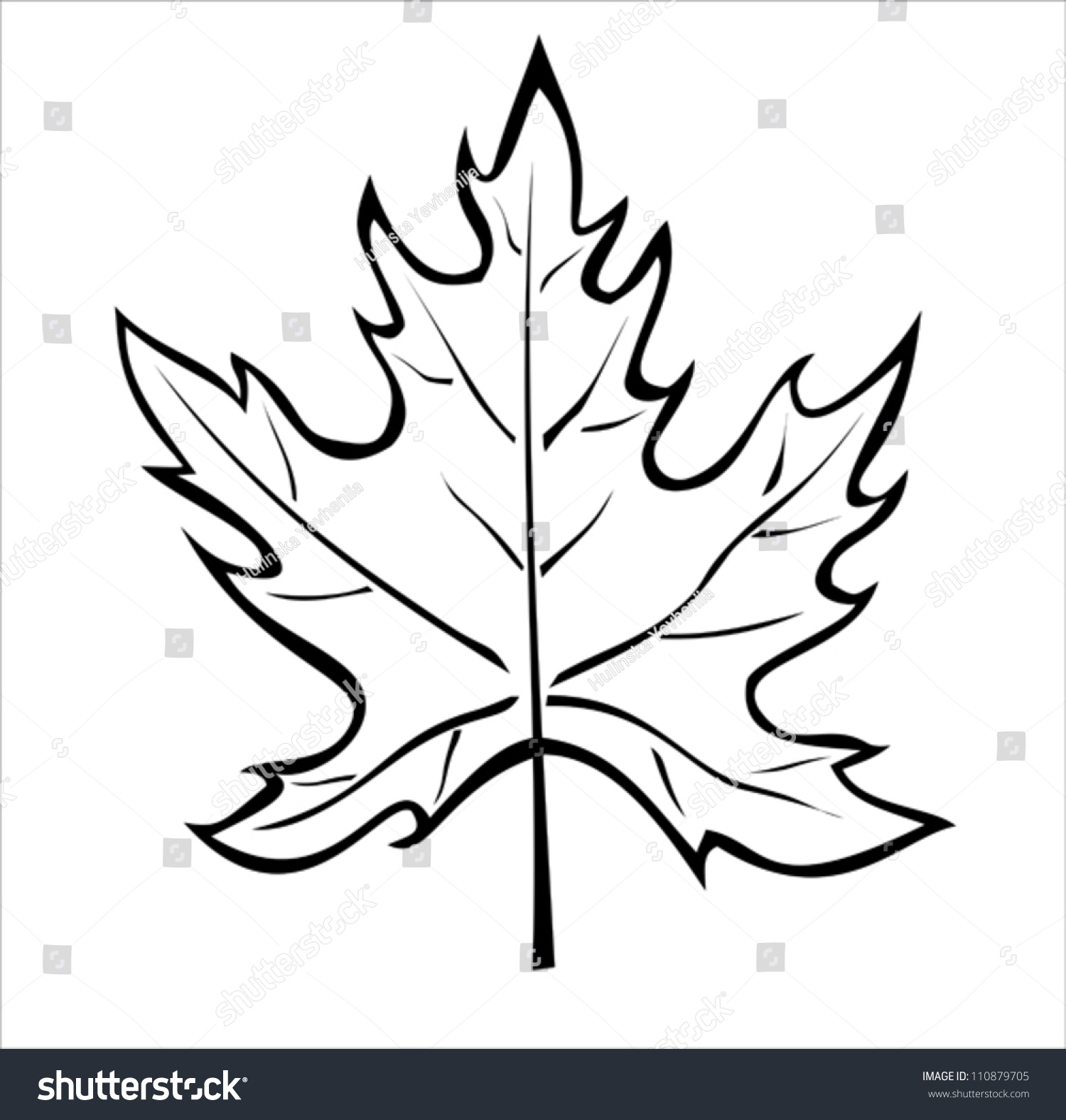 Silhouette Maple Leaf Isolated On White Stock Vector 110879705 