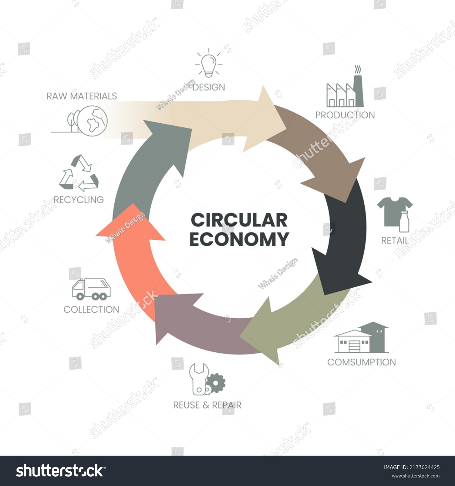 Vector Infographic Diagram Circular Economy Concept Stock Vector