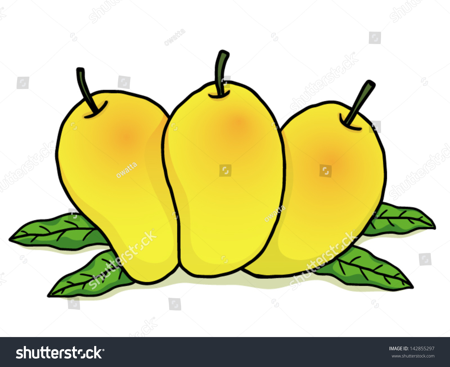 Three Ripe Mangoes And Some Green Leaves Cartoon Vector And