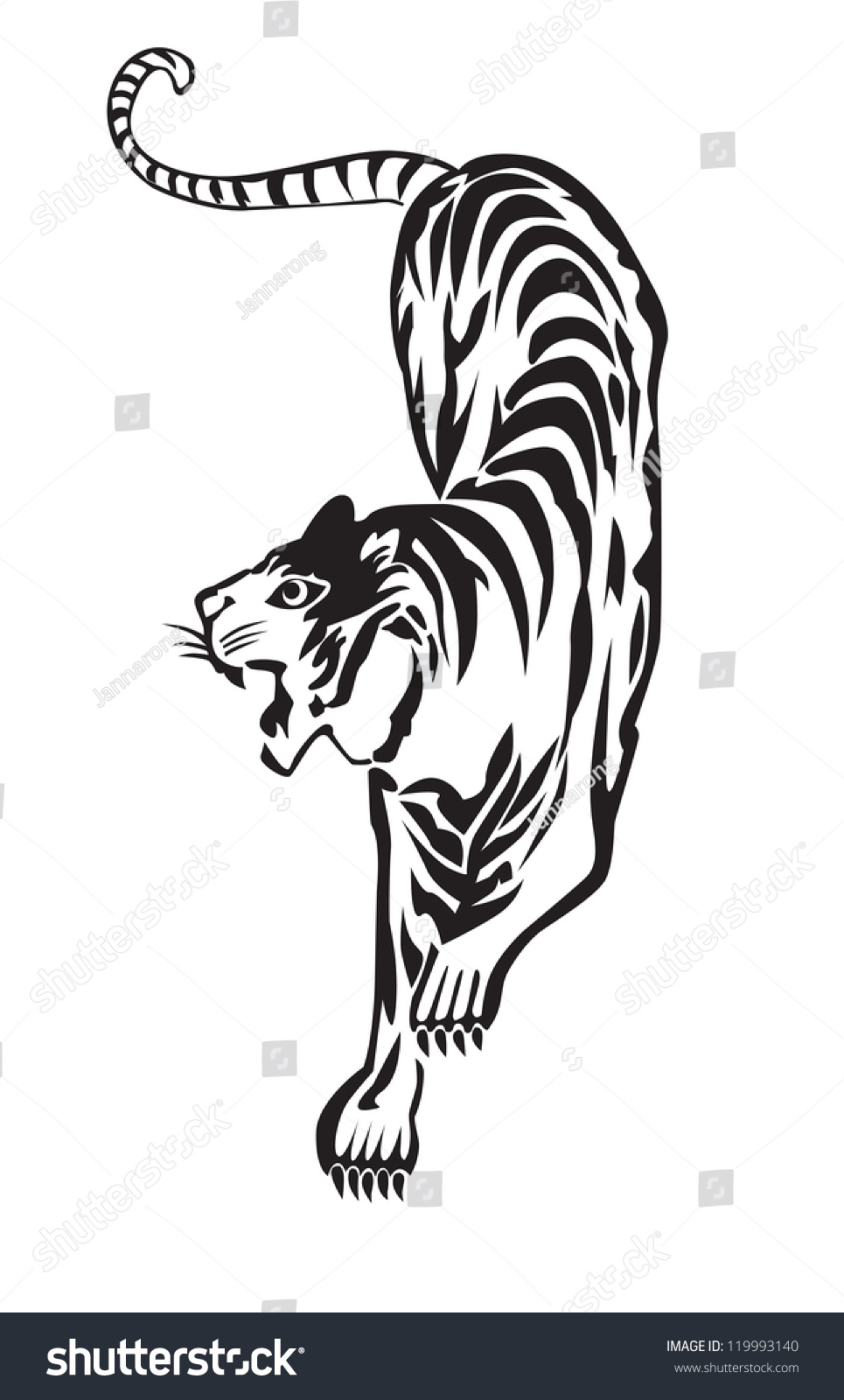 tiger body drawing