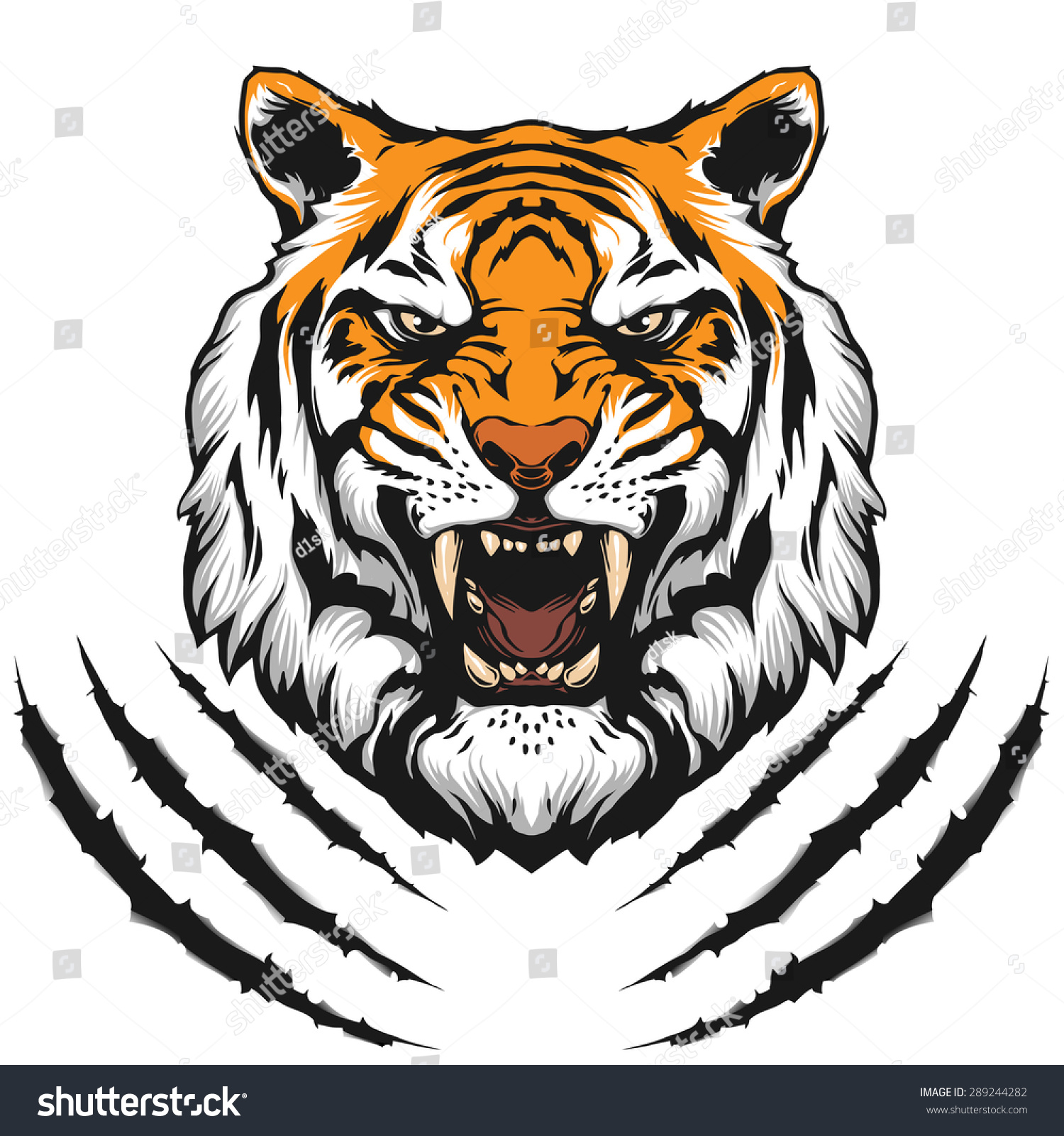 tiger roar clipart - photo #3
