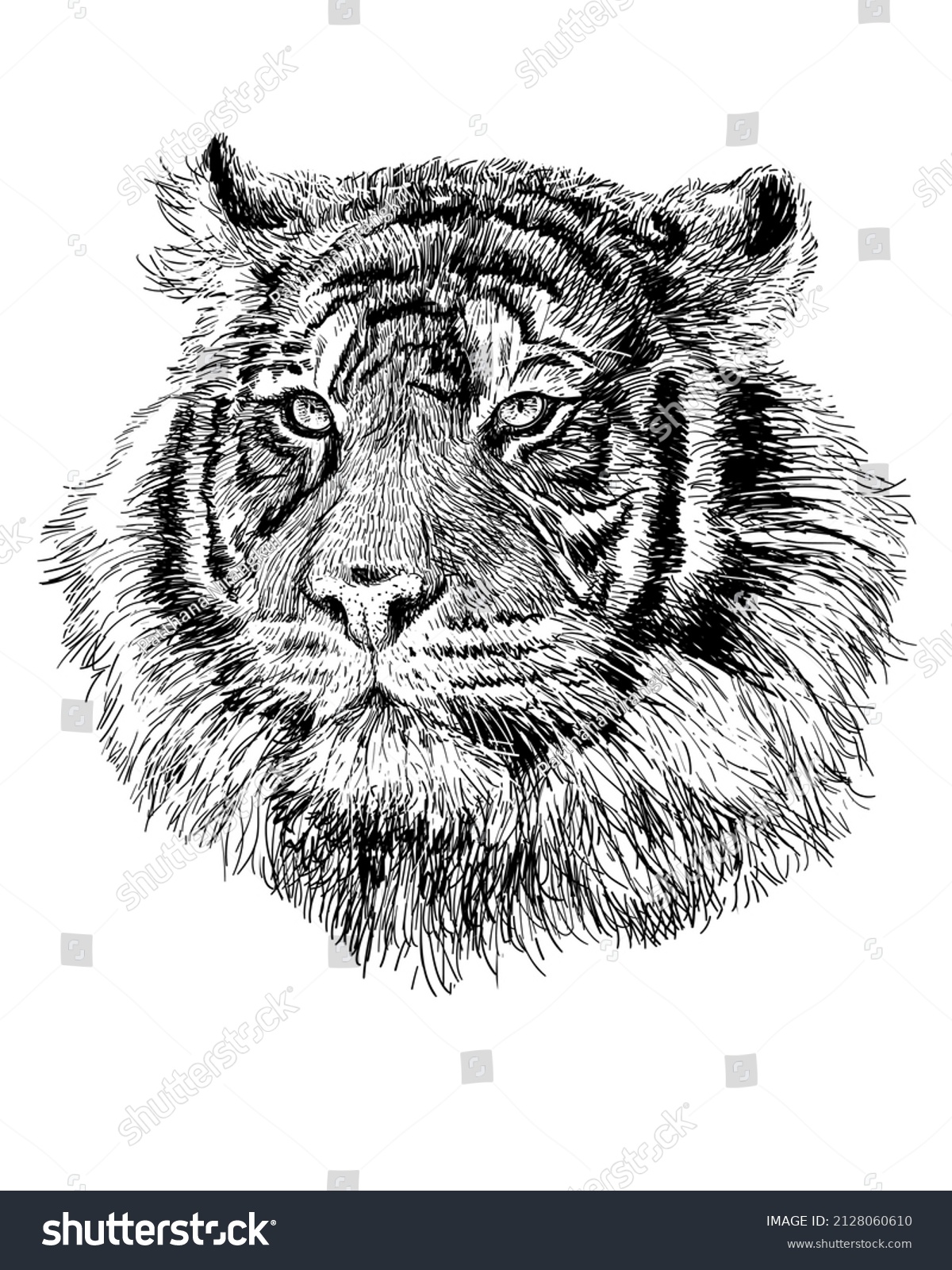 Tiger Head Hand Draw Sketch Black Stock Vector Royalty Free