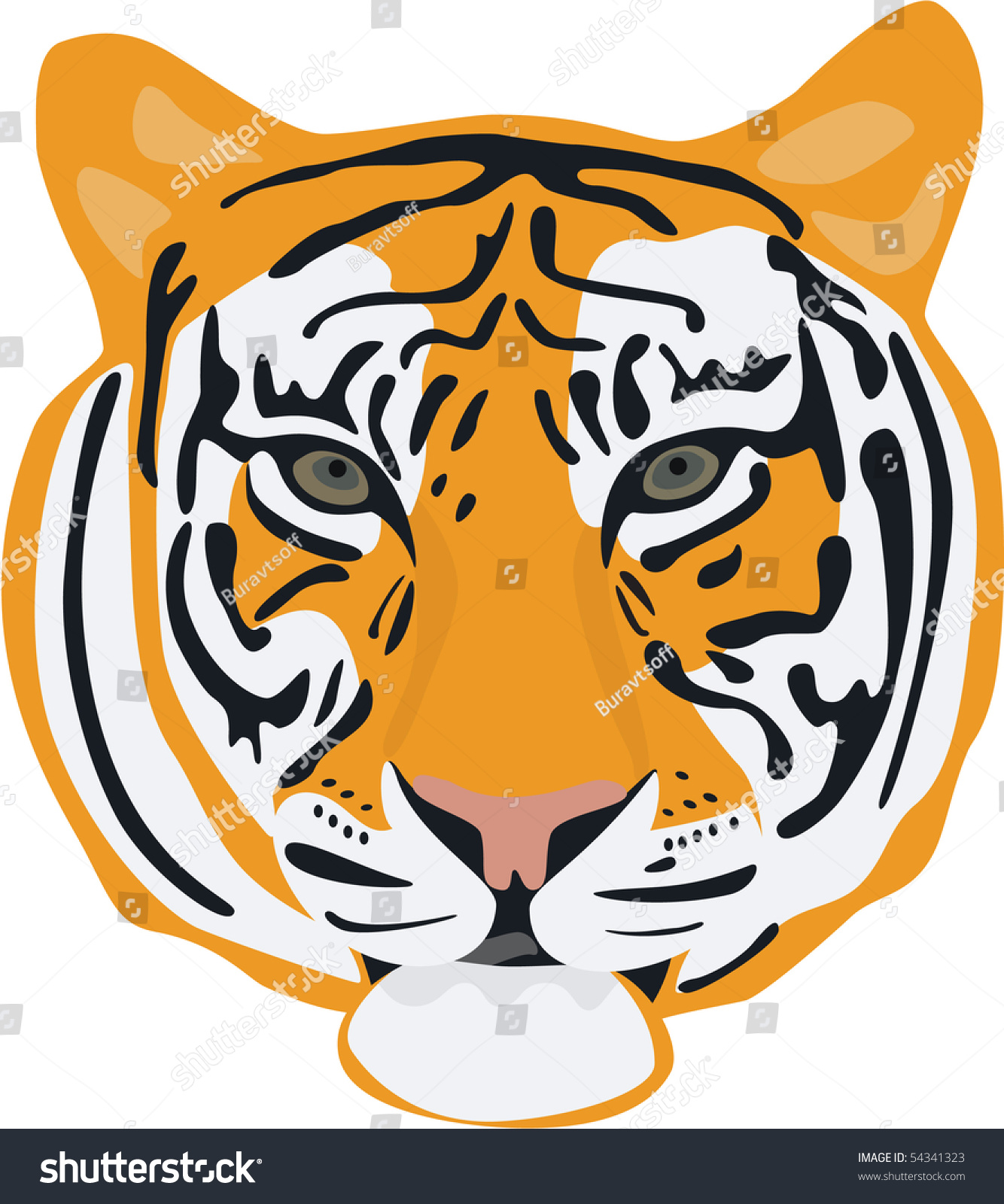 Tiger Head Isolated On White Stock Vector Illustration 54341323