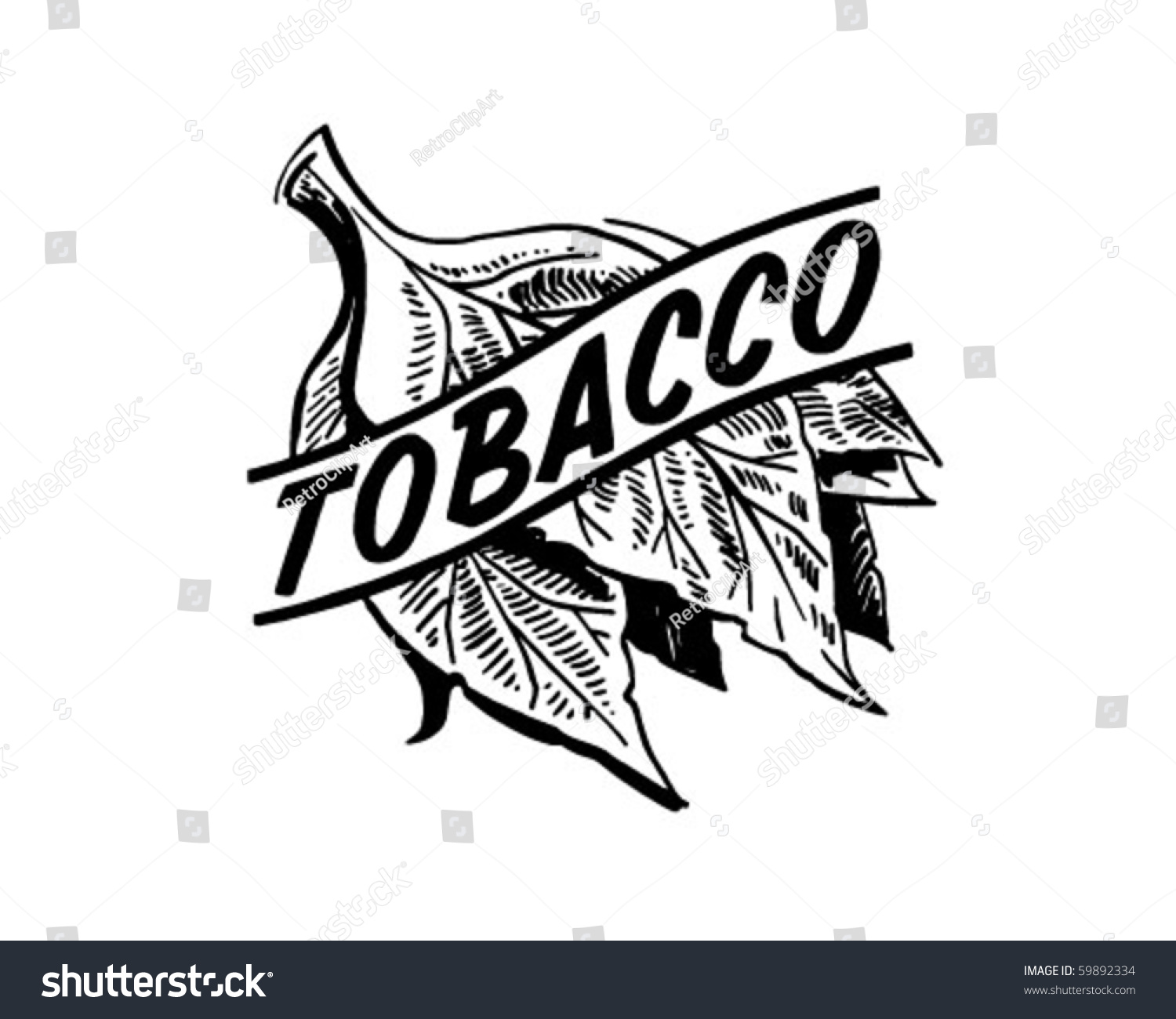 clip art tobacco leaf - photo #31