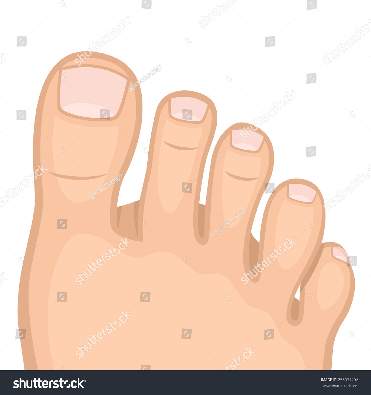 clipart of a big toe - photo #24