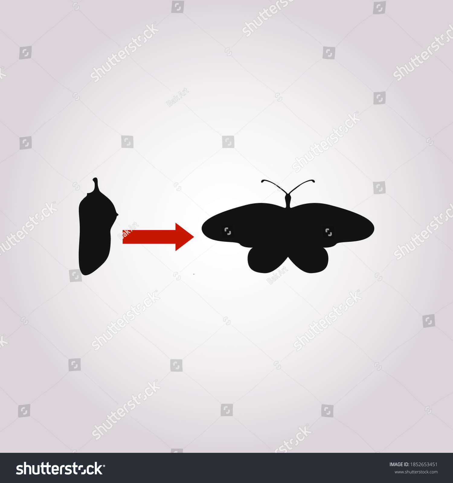 Transformation Concept Caterpillar Butterfly Cocoon Stages Stock Vector