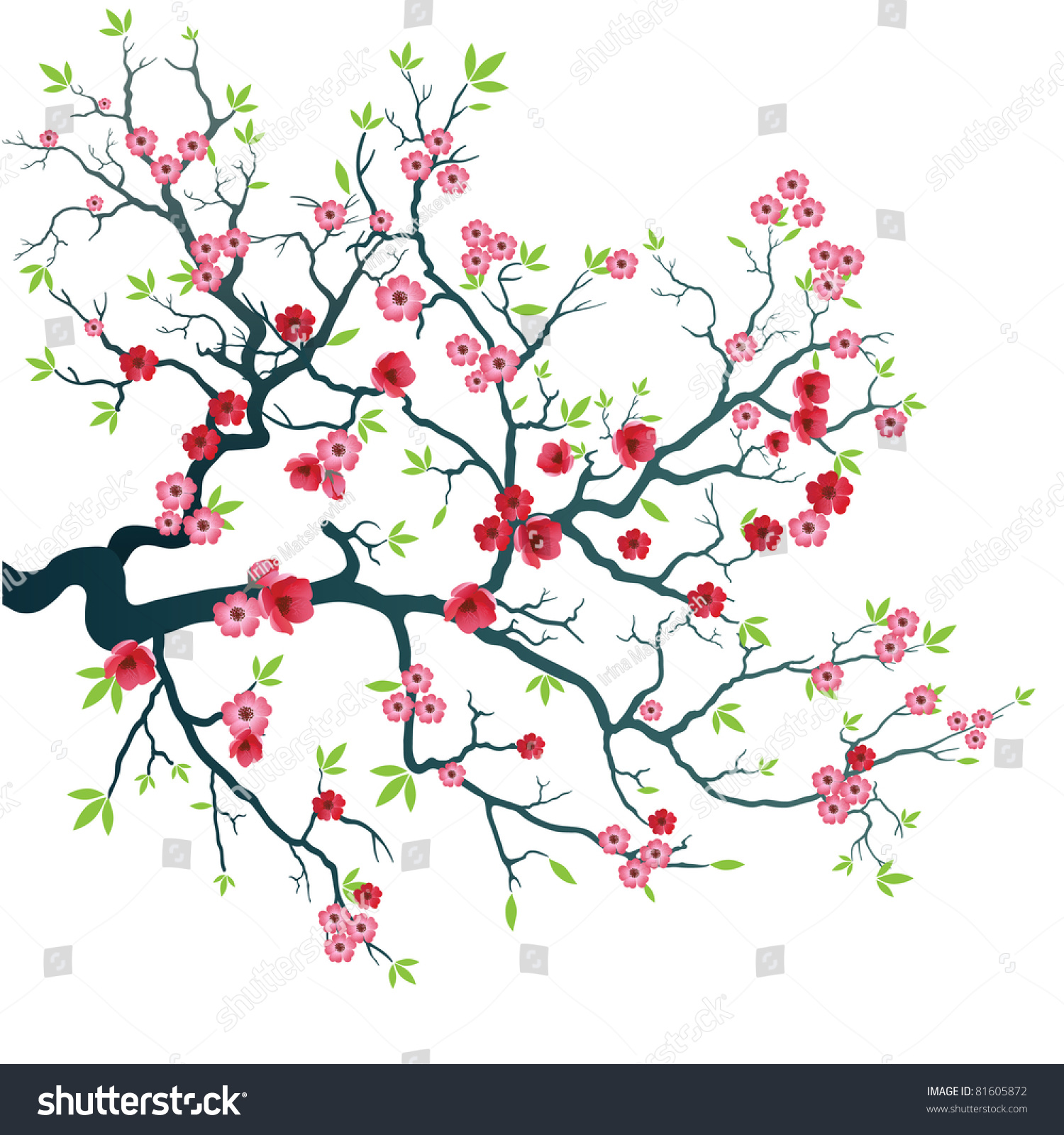 Tree Branch With Flower And Leaves. Stock Vector Illustration 81605872