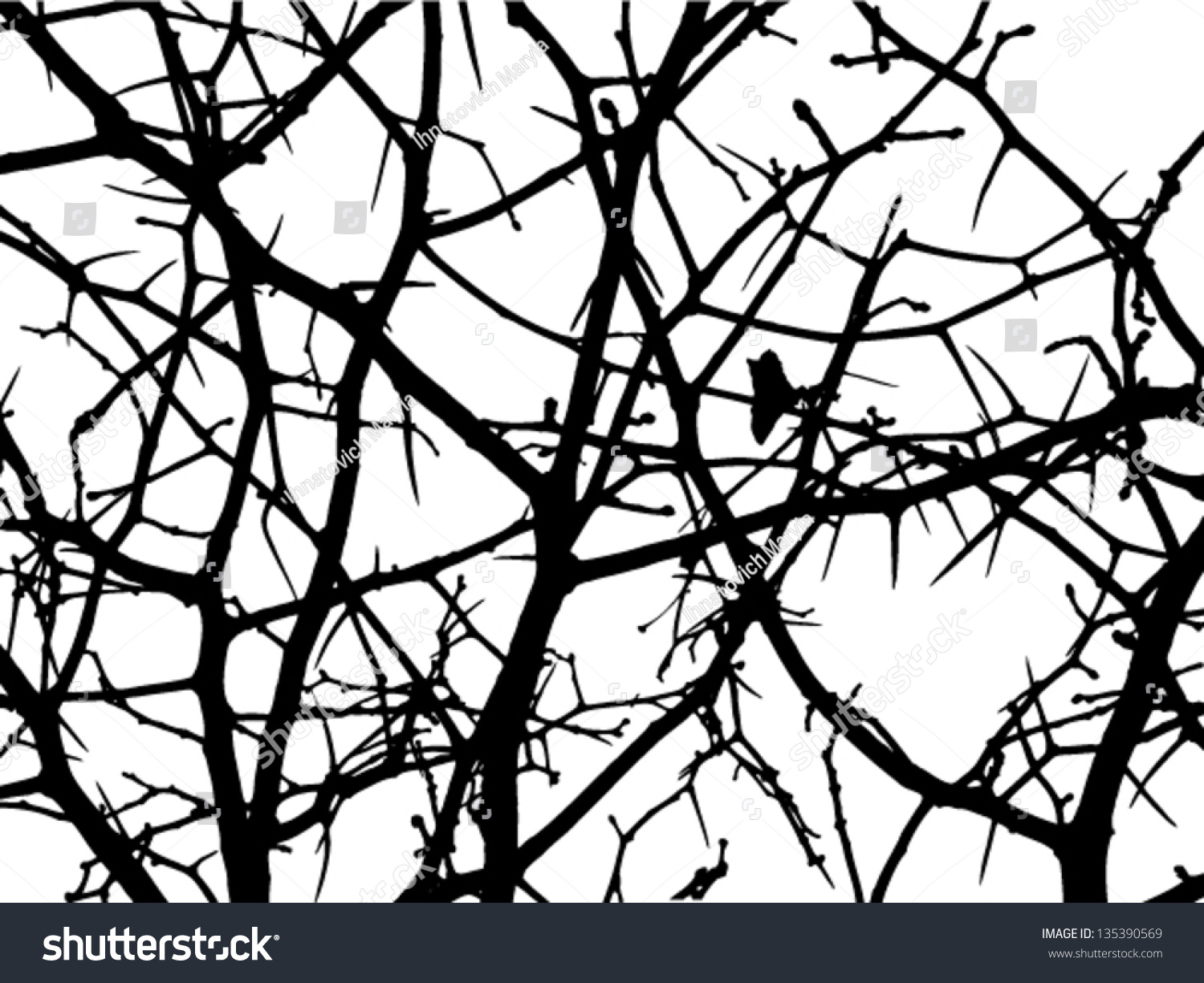 Tree Branches Stock Vector 135390569 - Shutterstock