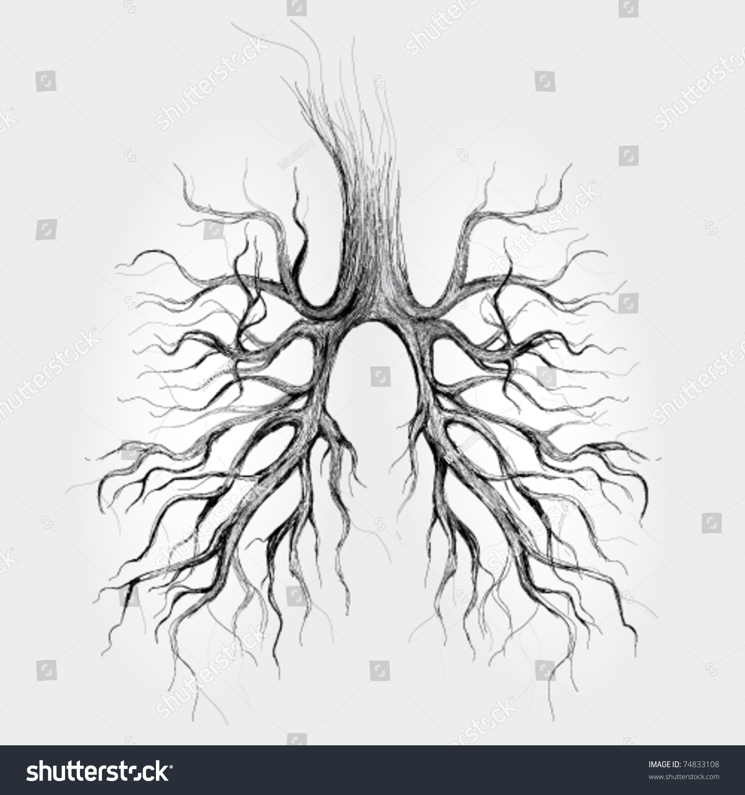 Tree Lungs Of The Earth / Realistic Sketch Stock Vector 74833108