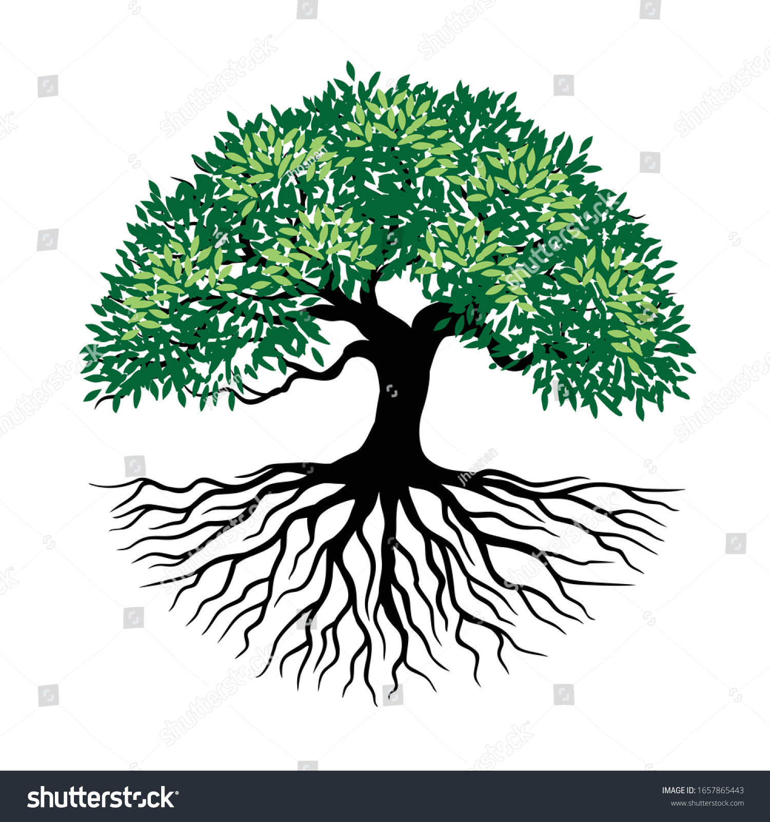 Tree Roots Round Logo Icon Stock Vector Royalty Free