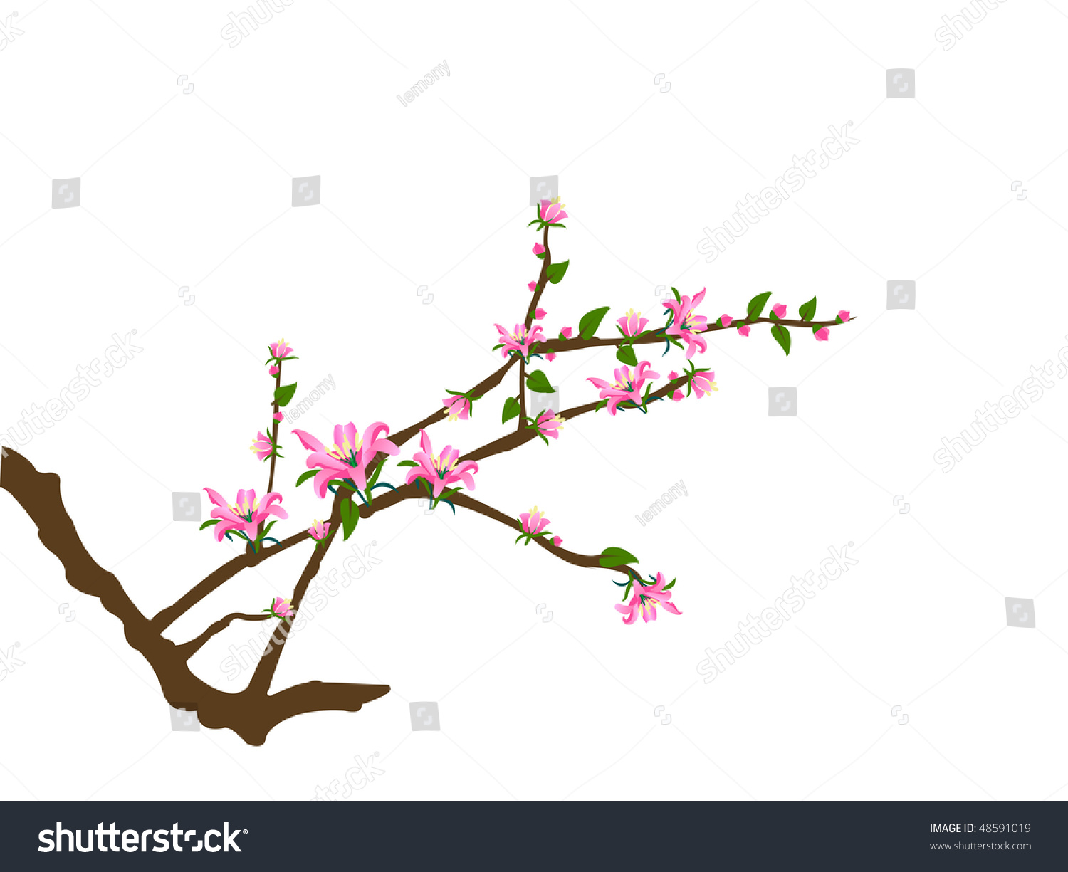 Tree Twigs And Pink Flowers Stock Vector Illustration 48591019