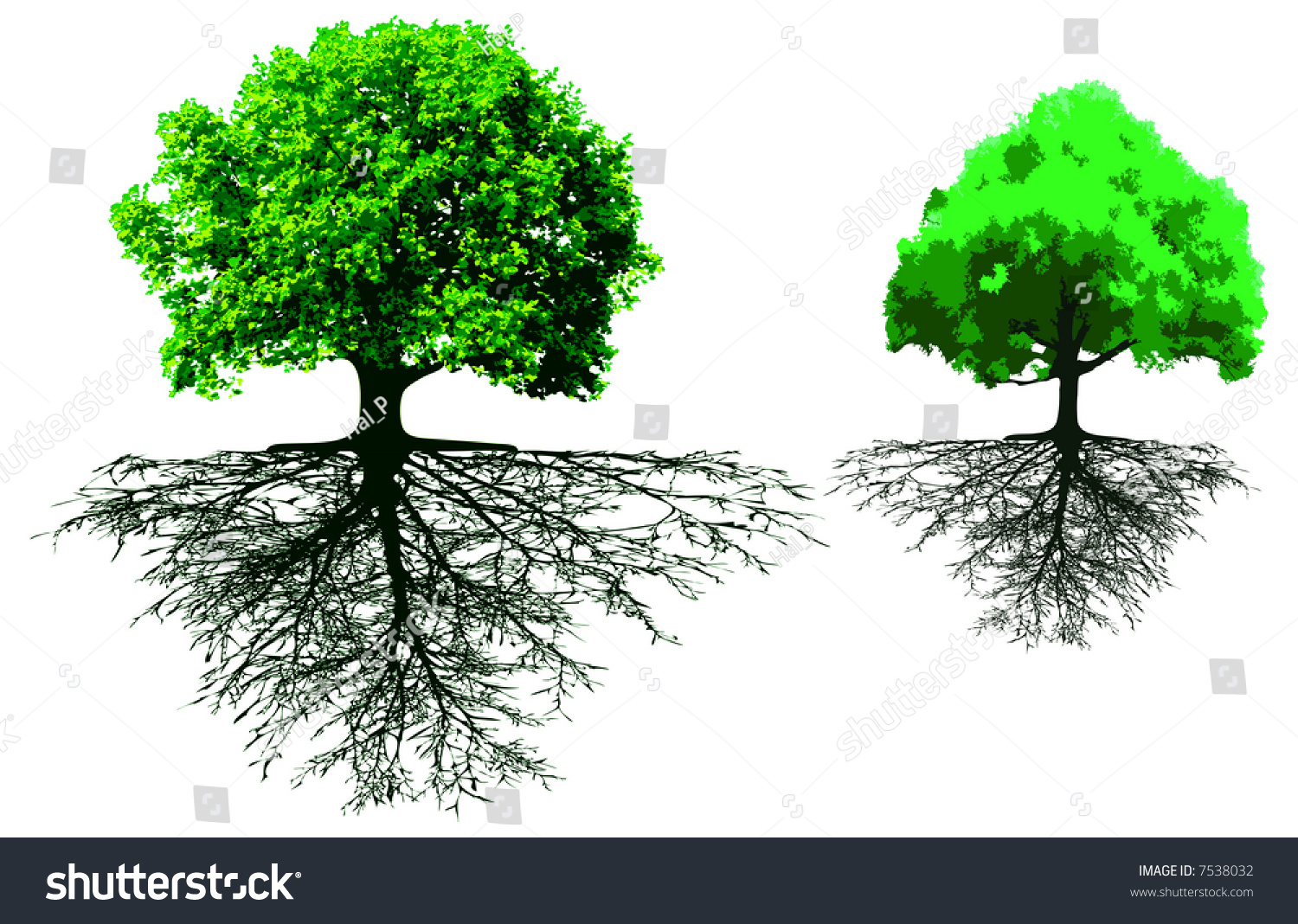 Trees With Roots Stock Vector Illustration 7538032 : Shutterstock