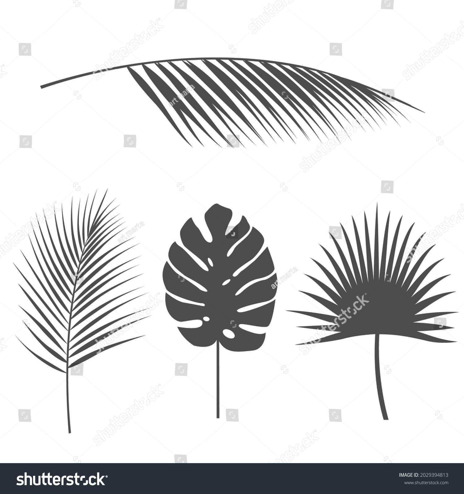 Tropical Leavestropical Palmsvector Set Silhouettes Botanical Stock Vector Royalty Free