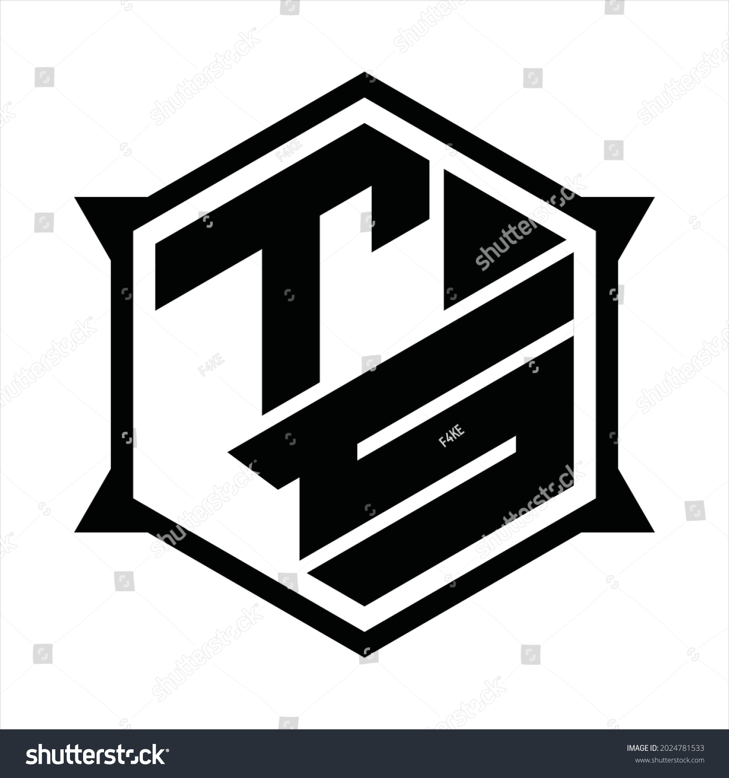 Ts Logo Monogram Hexagon Sharp Shape Stock Vector Royalty Free