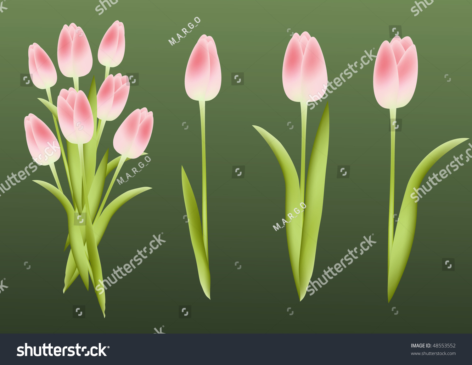 Tulips. Design Element. Vector Illustration. 48553552 Shutterstock