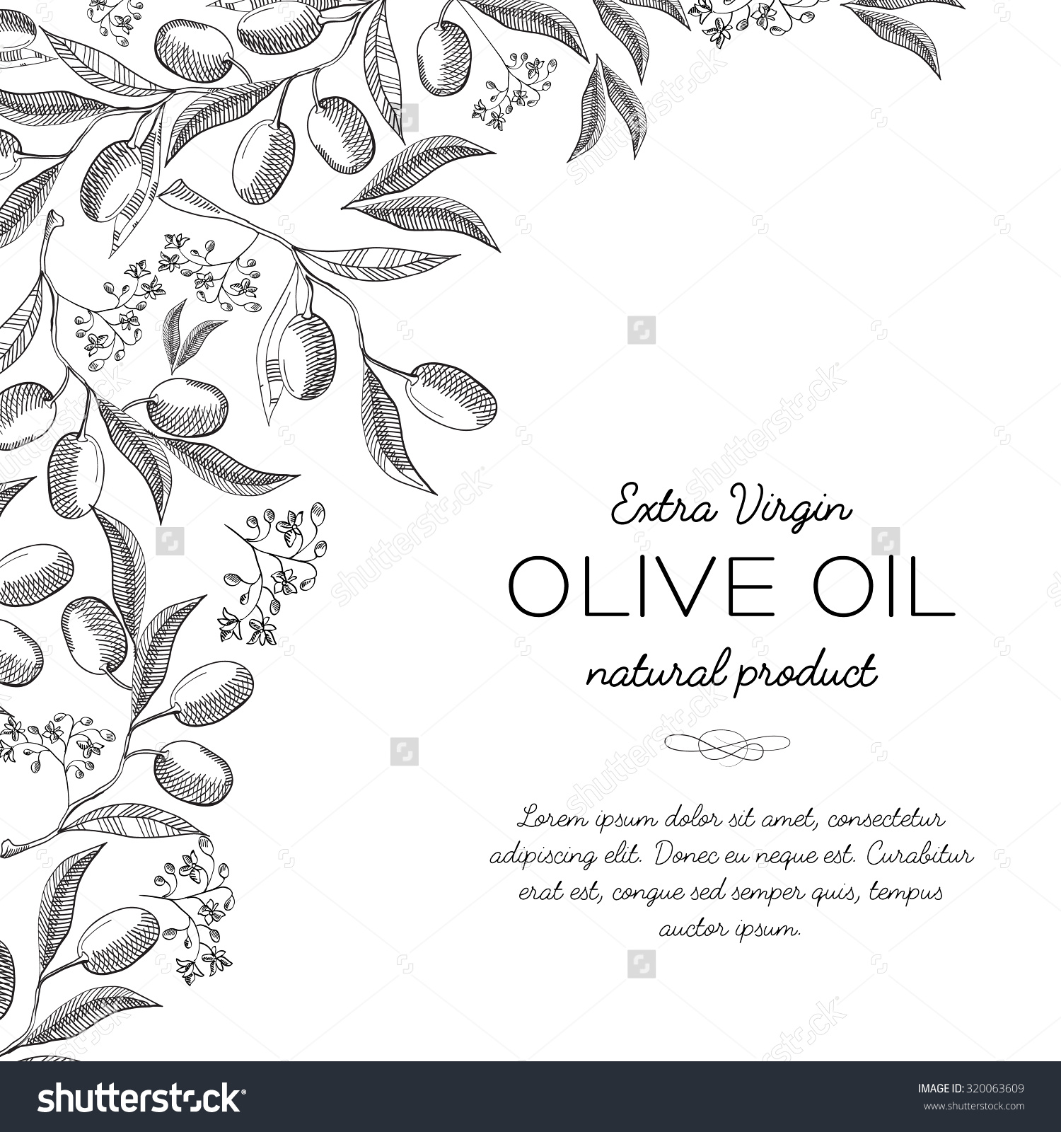Twigs olive background Sketch Hand drawing Design concept Vector Illustration eps10 contains transparencies Twigs olive background Sketch Hand drawing Design concept Vector Illustration eps10 contains transparencies