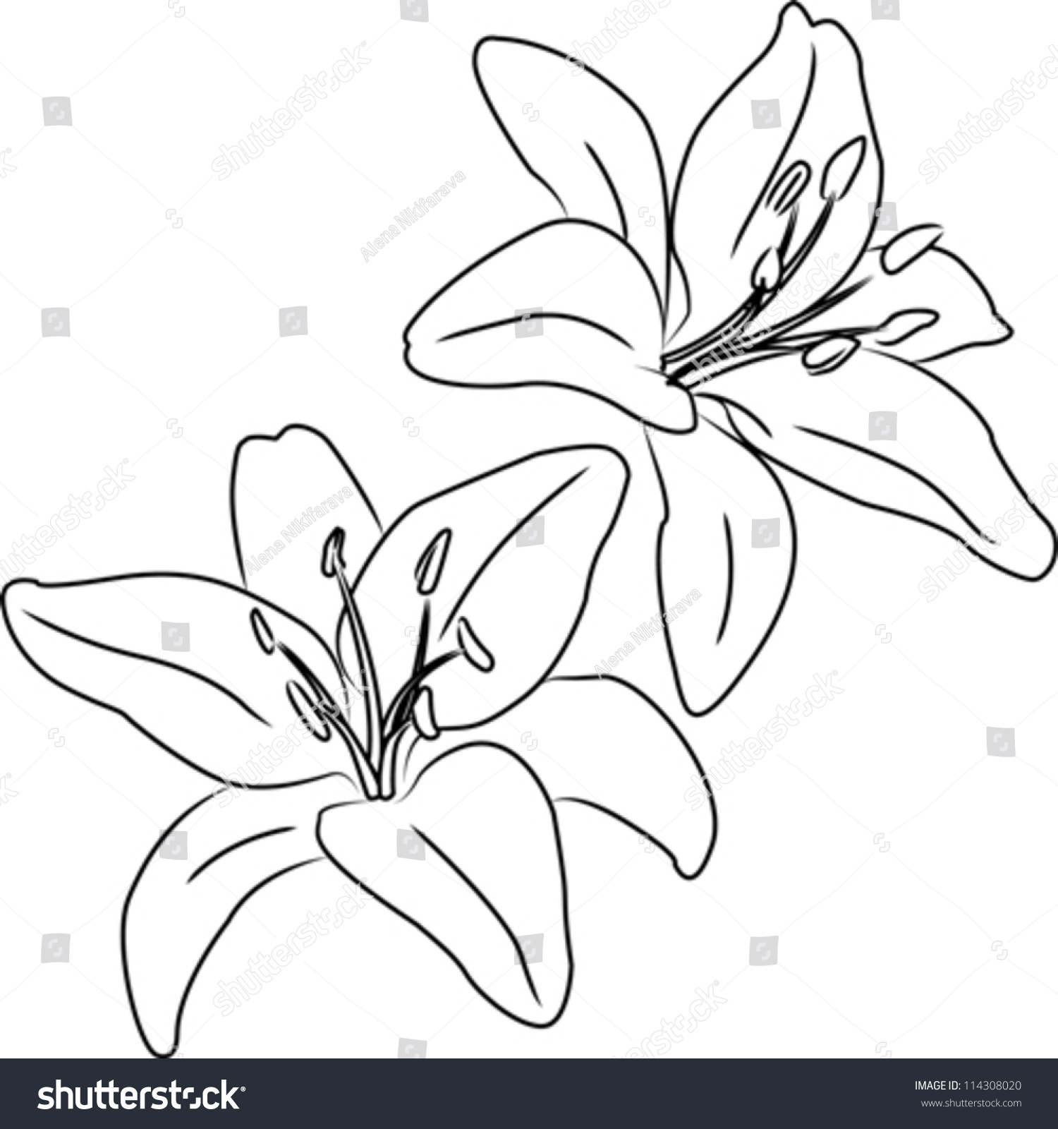 Easy Flower Drawing Outline