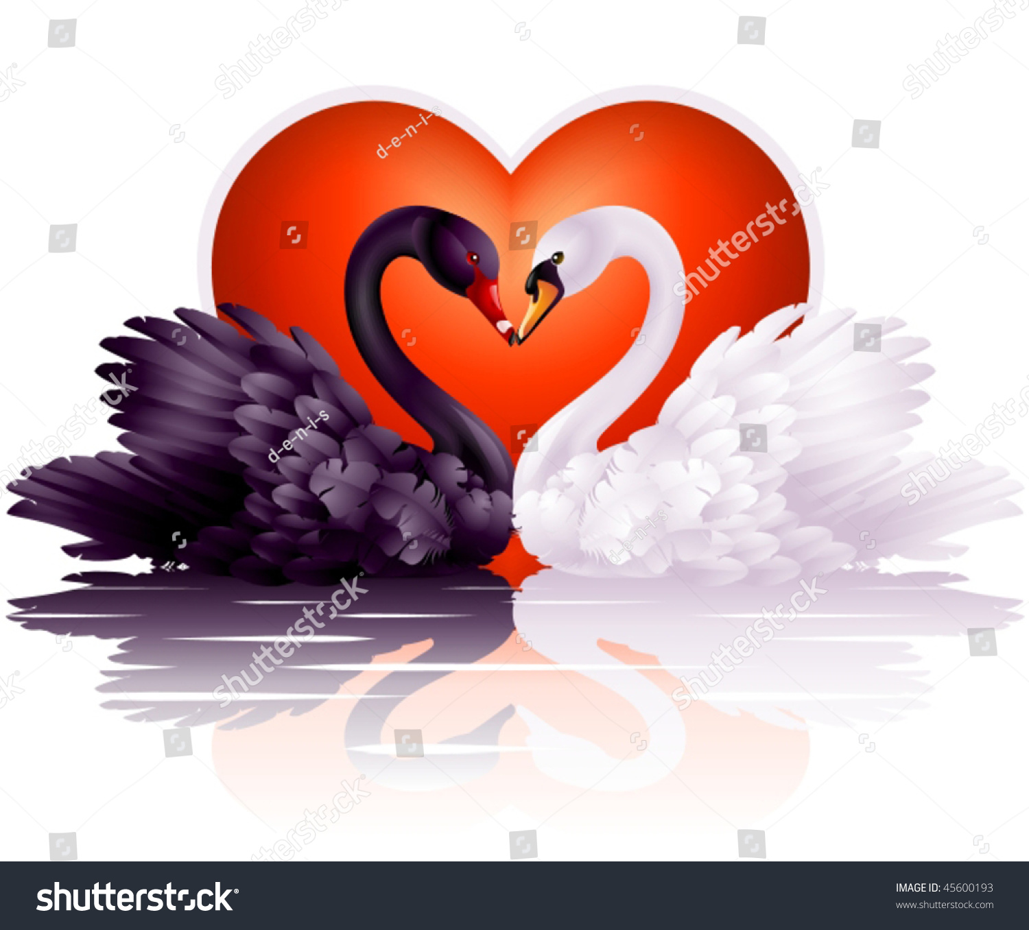 Two Graceful Swans In Love Stock Vector Illustration 45600193