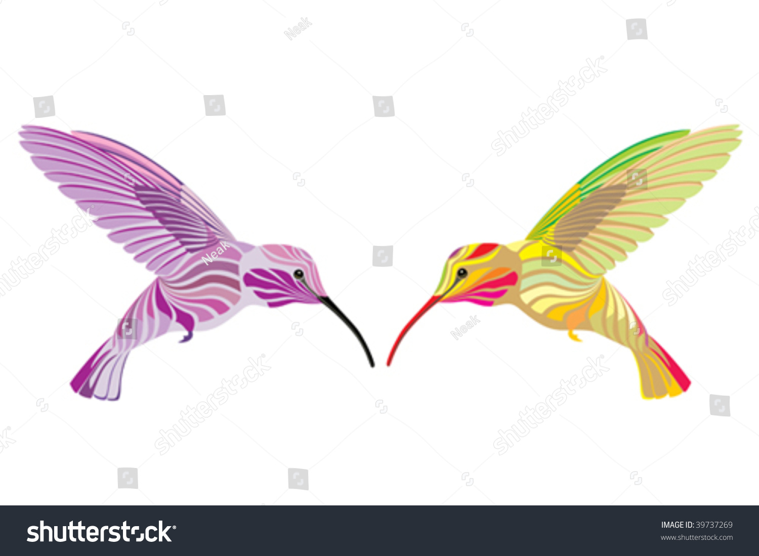 Two Hummingbirds Stock Vector Illustration 39737269 Shutterstock 1862