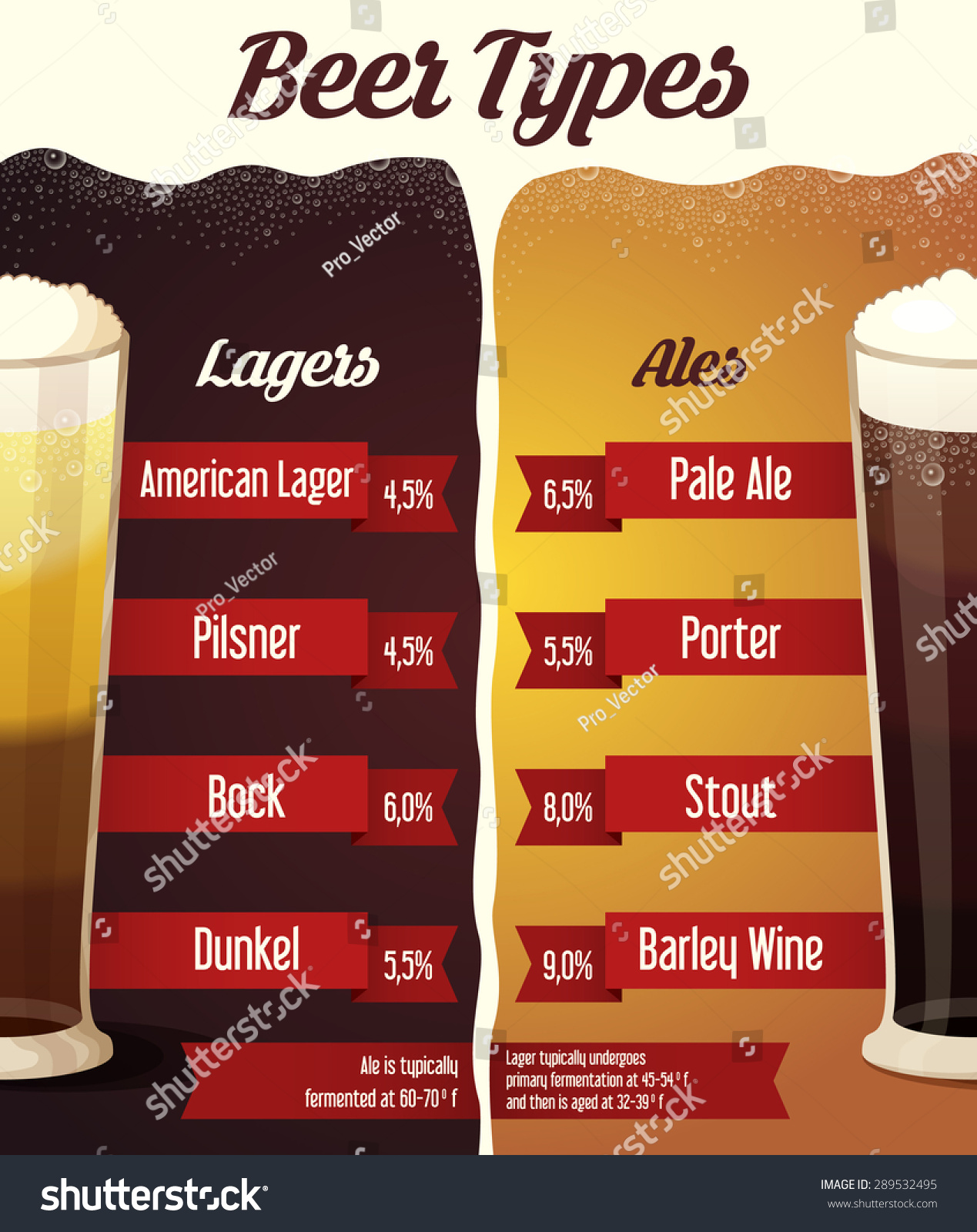 Types Beer Infographic Stock Vector Shutterstock