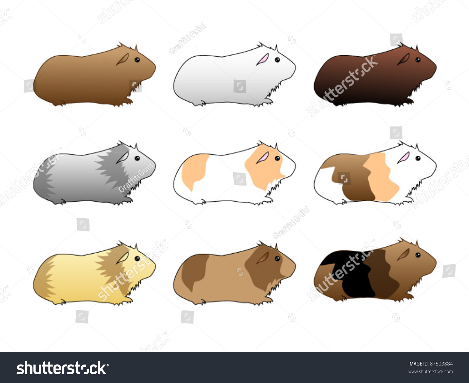 Variety Of Guinea Pigs Stock Vector 87503884 : Shutterstock