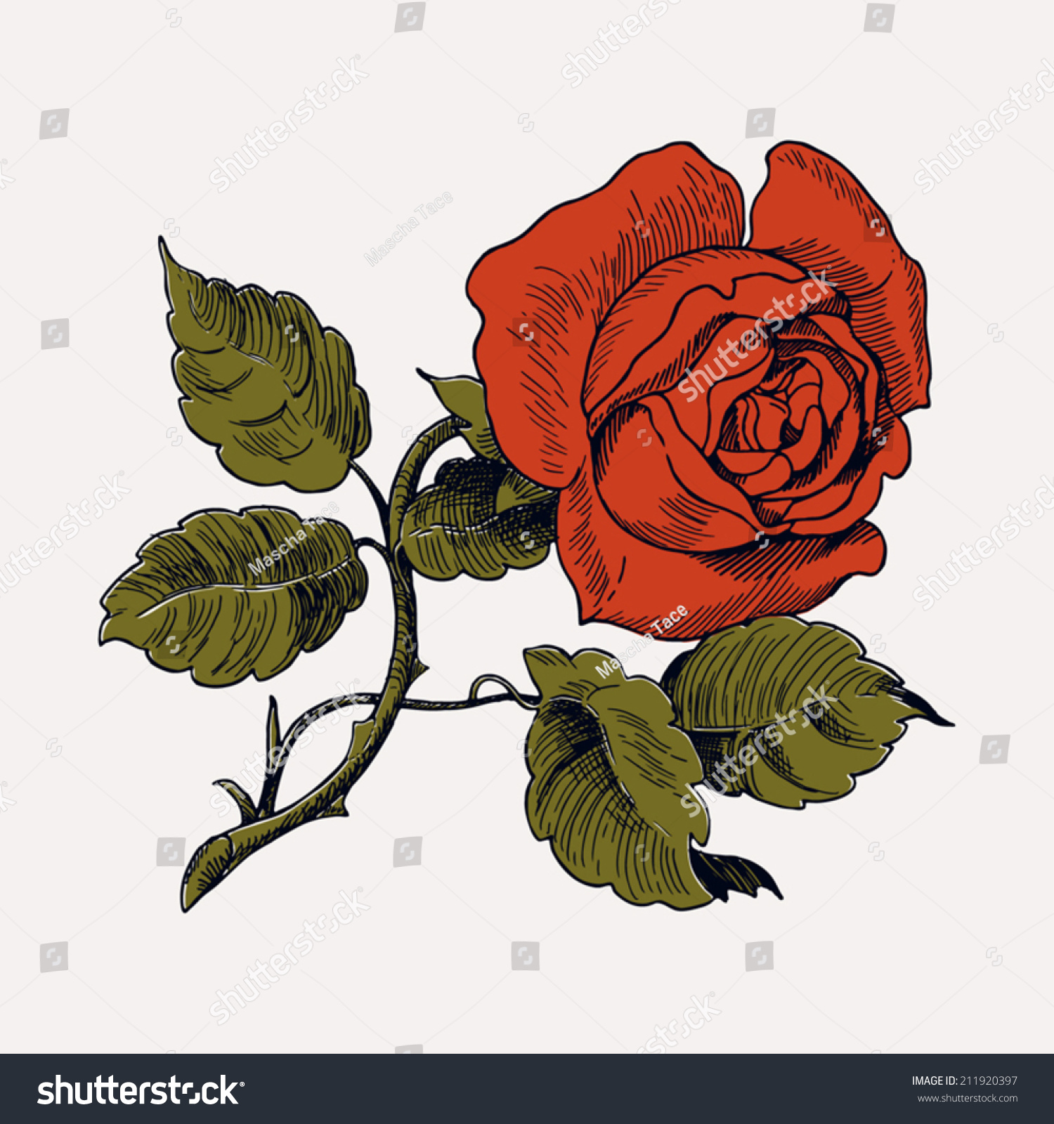 Red Rose With Stem And Thorns
