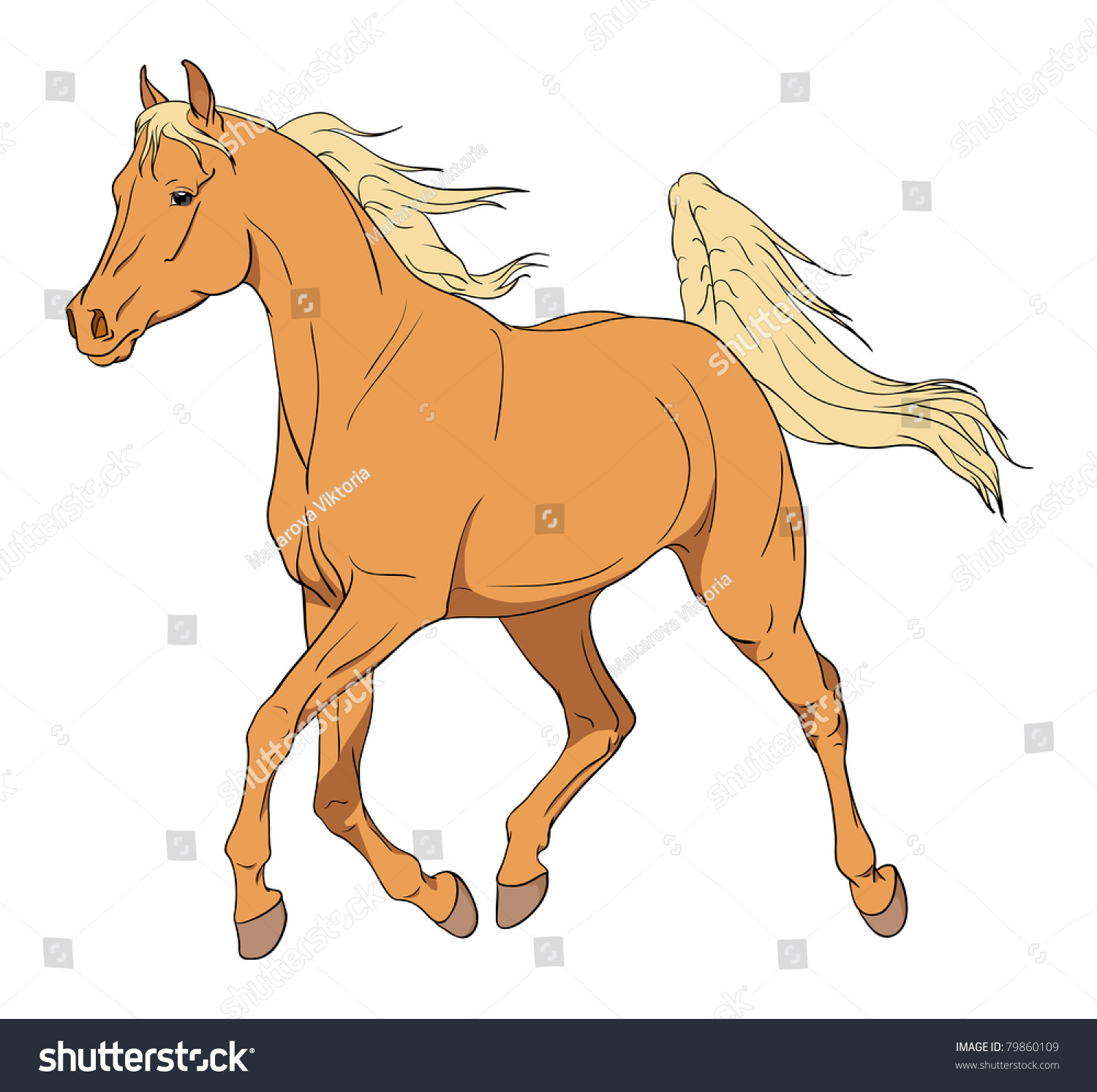 Vector Arabian Horse Illustration Stock Vector 79860109 - Shutterstock