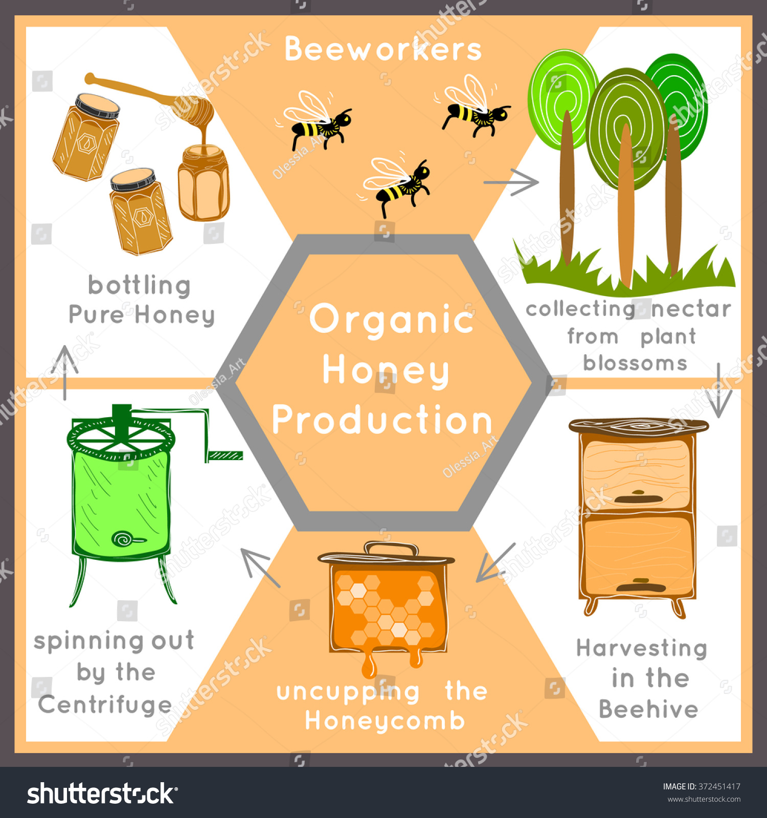 Vector Banner Honey Beekeeping Natural Eco Stock Vector 372451417 ...