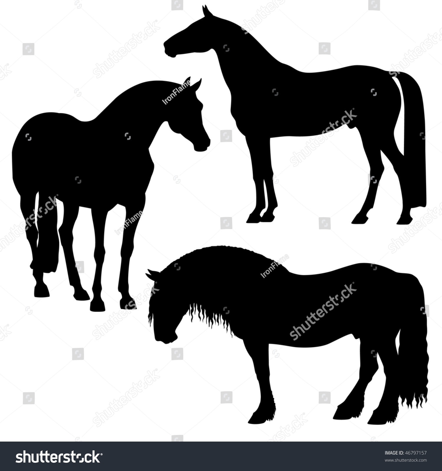 Vector Black Horse On A White Background - 46797157 : Shutterstock