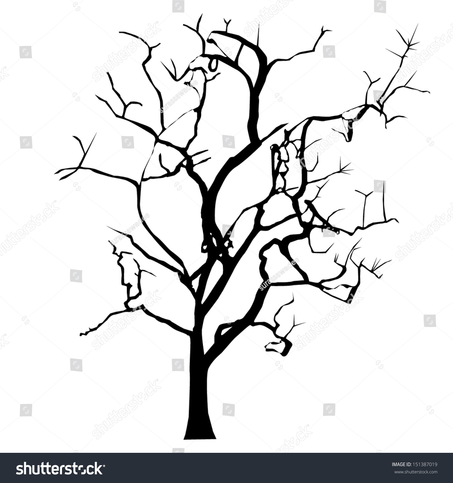 Vector Black Silhouette Of A Bare Tree - 151387019 : Shutterstock