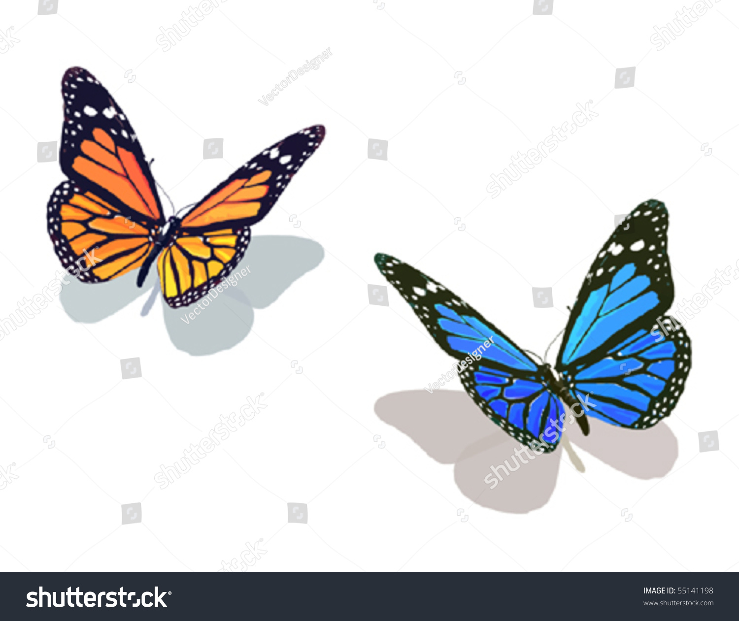 Vector Butterfly Collection - 55141198 : Shutterstock