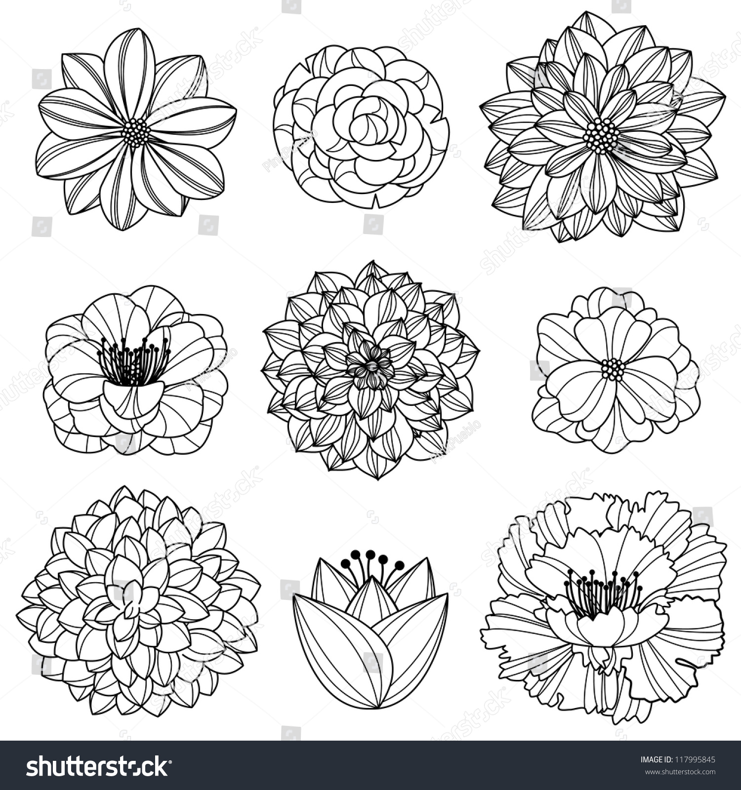 Vector Collection Of Hand Drawn Flowers - 117995845 : Shutterstock