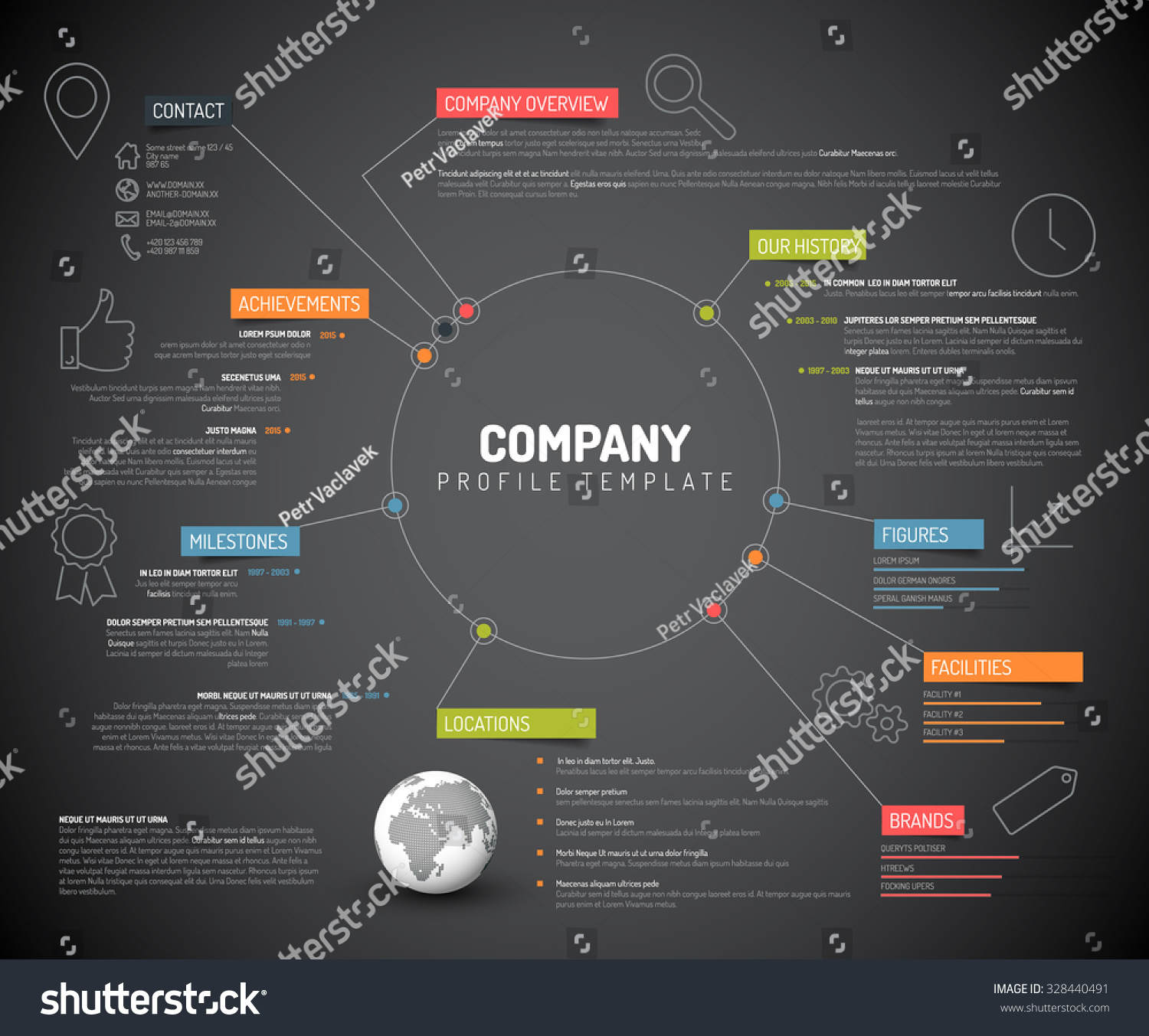 Vector Company Infographic Overview Design Template Stock Vector