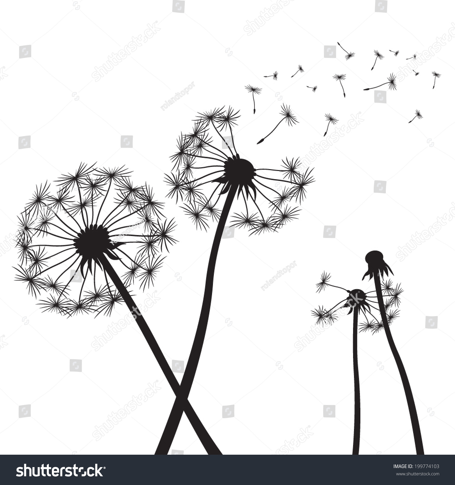 Vector Dandelion Illustration 199774103 Shutterstock