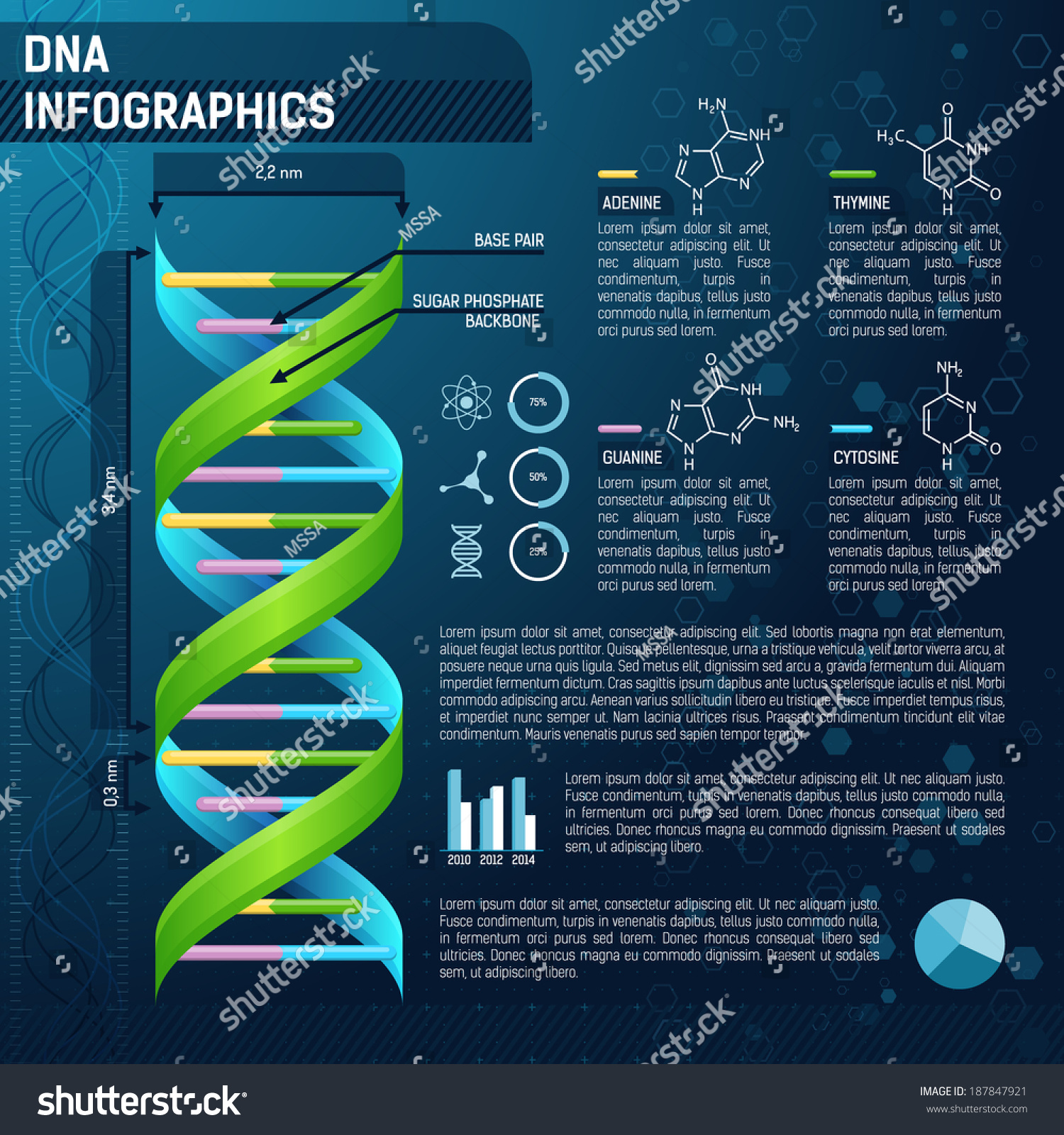 Vector Dna For Science Infographics, Scientific Infographics Template ...