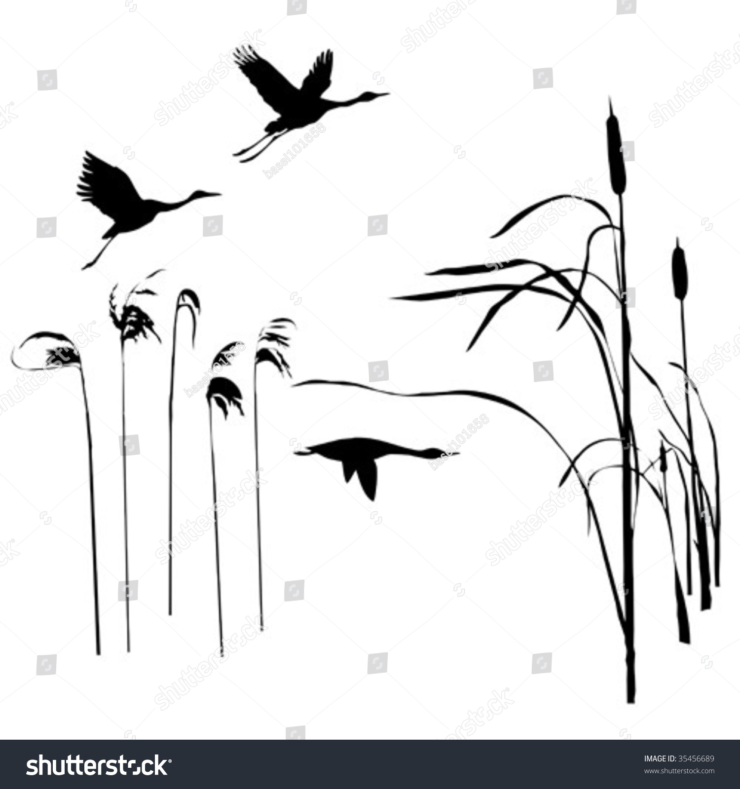 Vector Drawing Flying Birds - 35456689 : Shutterstock