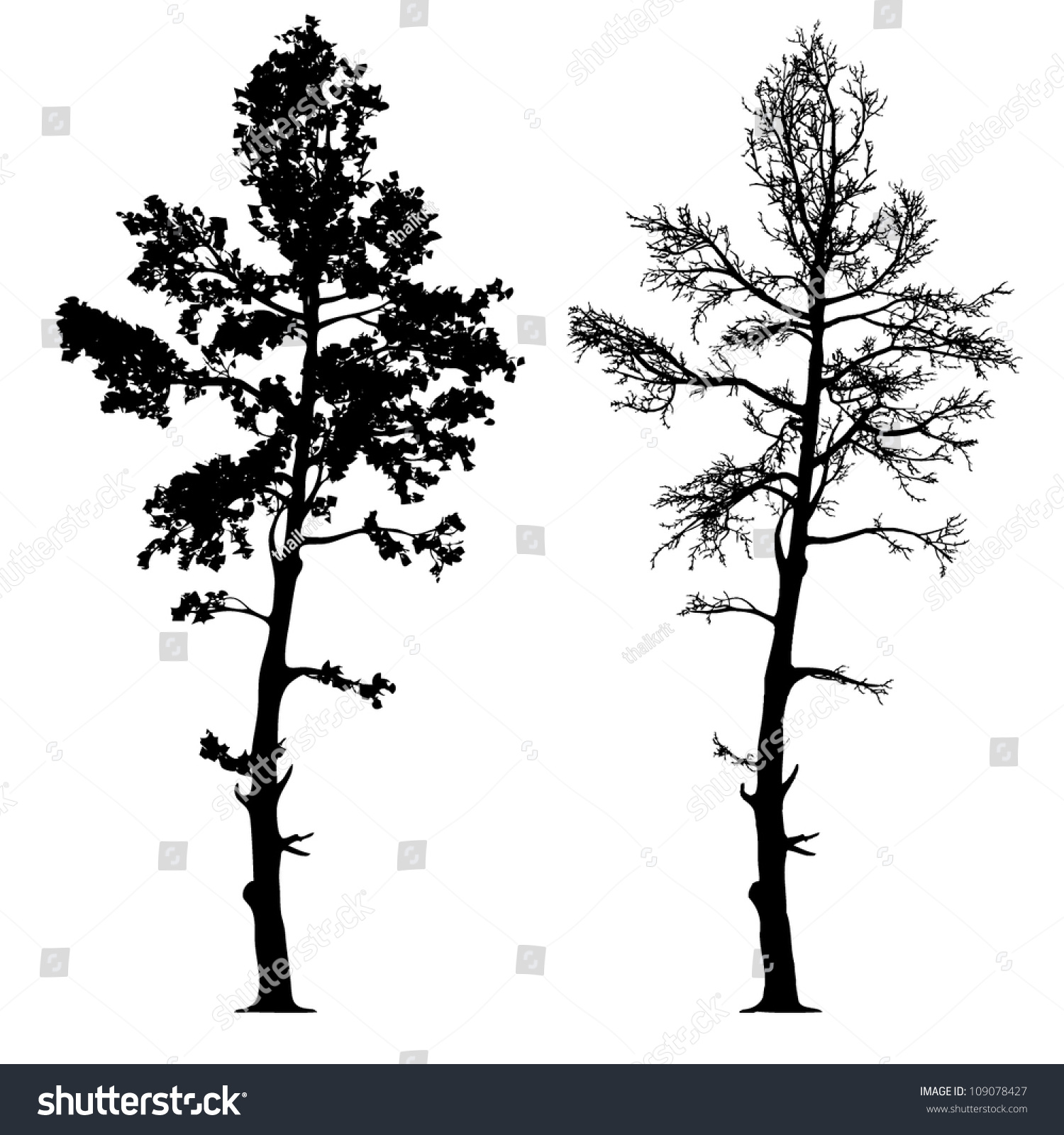 Vector Drawing Tree Detailed Vector Stock Vector 109078427 - Shutterstock