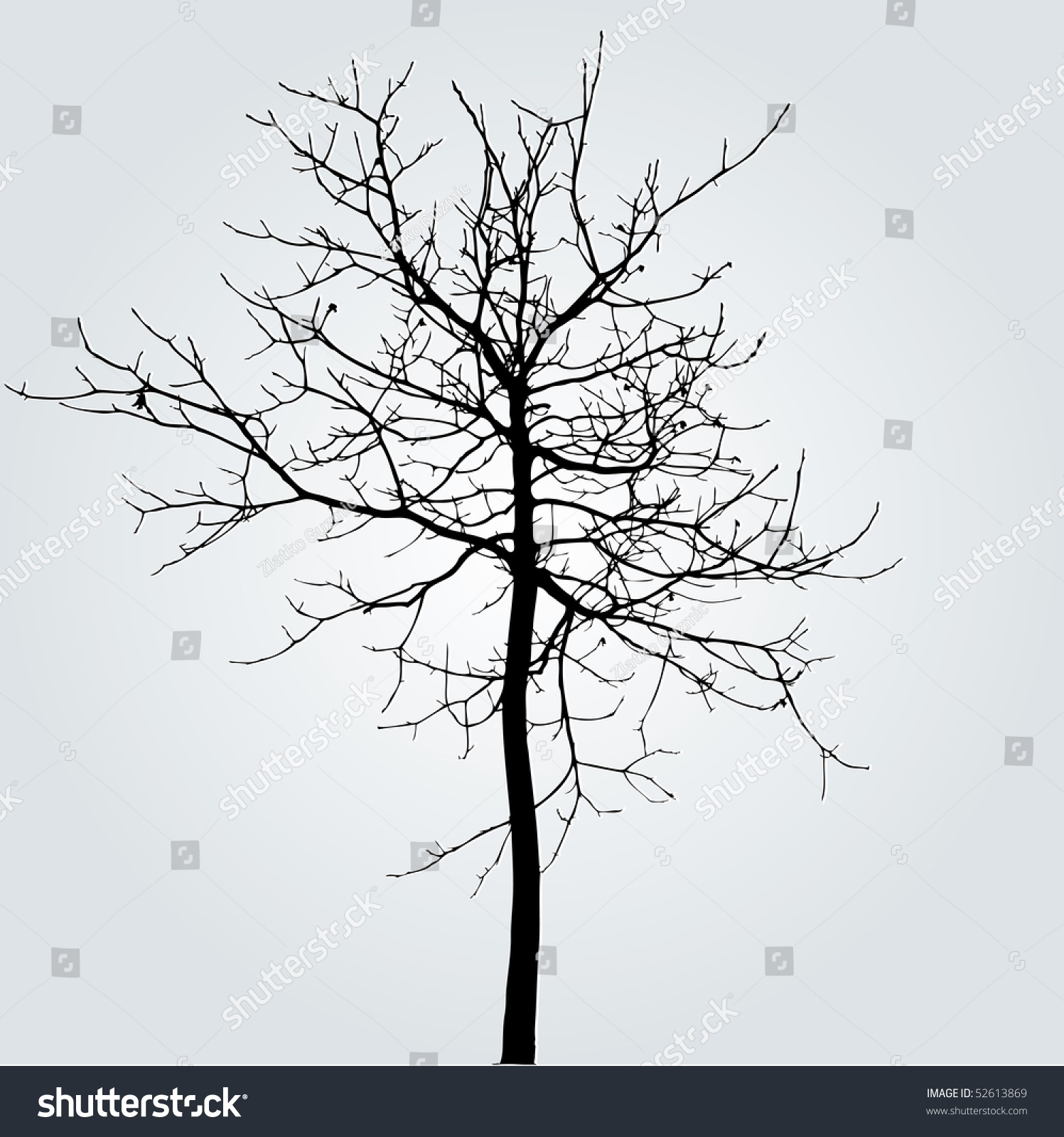 Vector Drawing Winter Tree Stock Vector 52613869 - Shutterstock