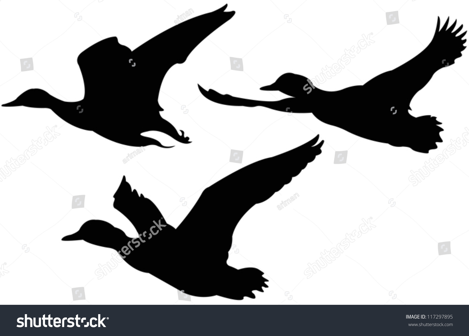 Vector File Of Flying Ducks - 117297895 : Shutterstock